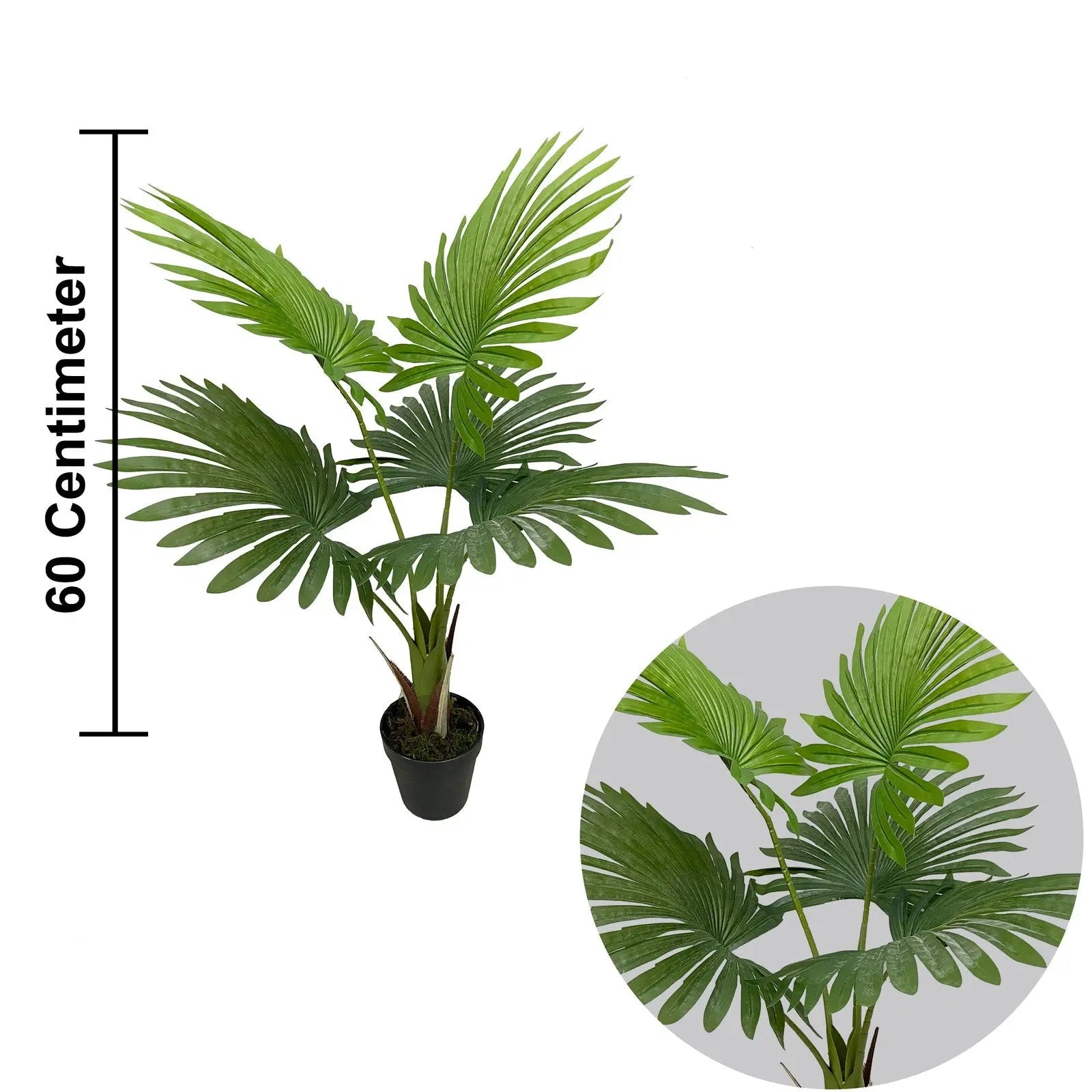 Umbrella Plant Artificial with White Pot (60 cm Height) My Store