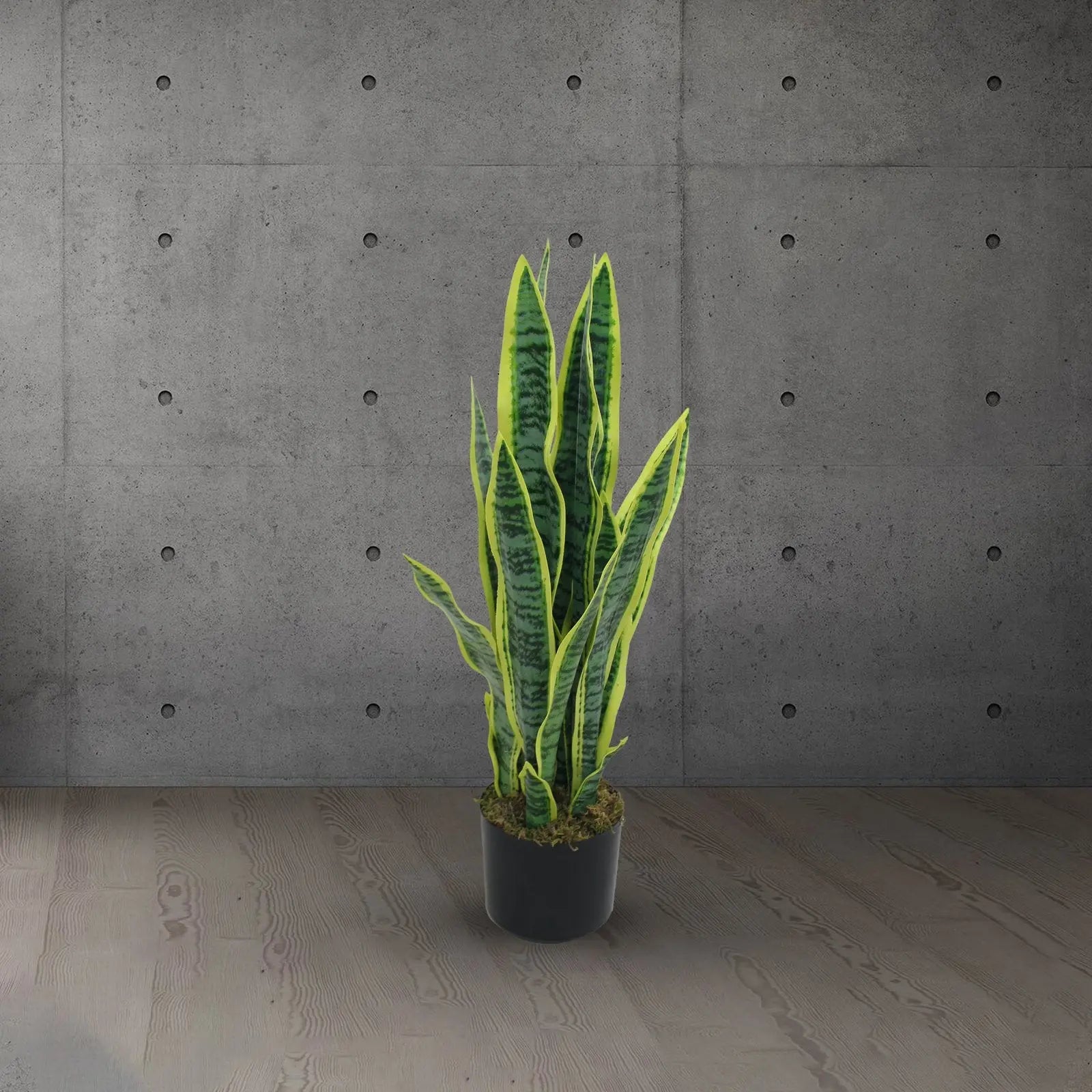 Sansevieria Artificial Plant (Snake Plant) with Pot (65 cm) My Store