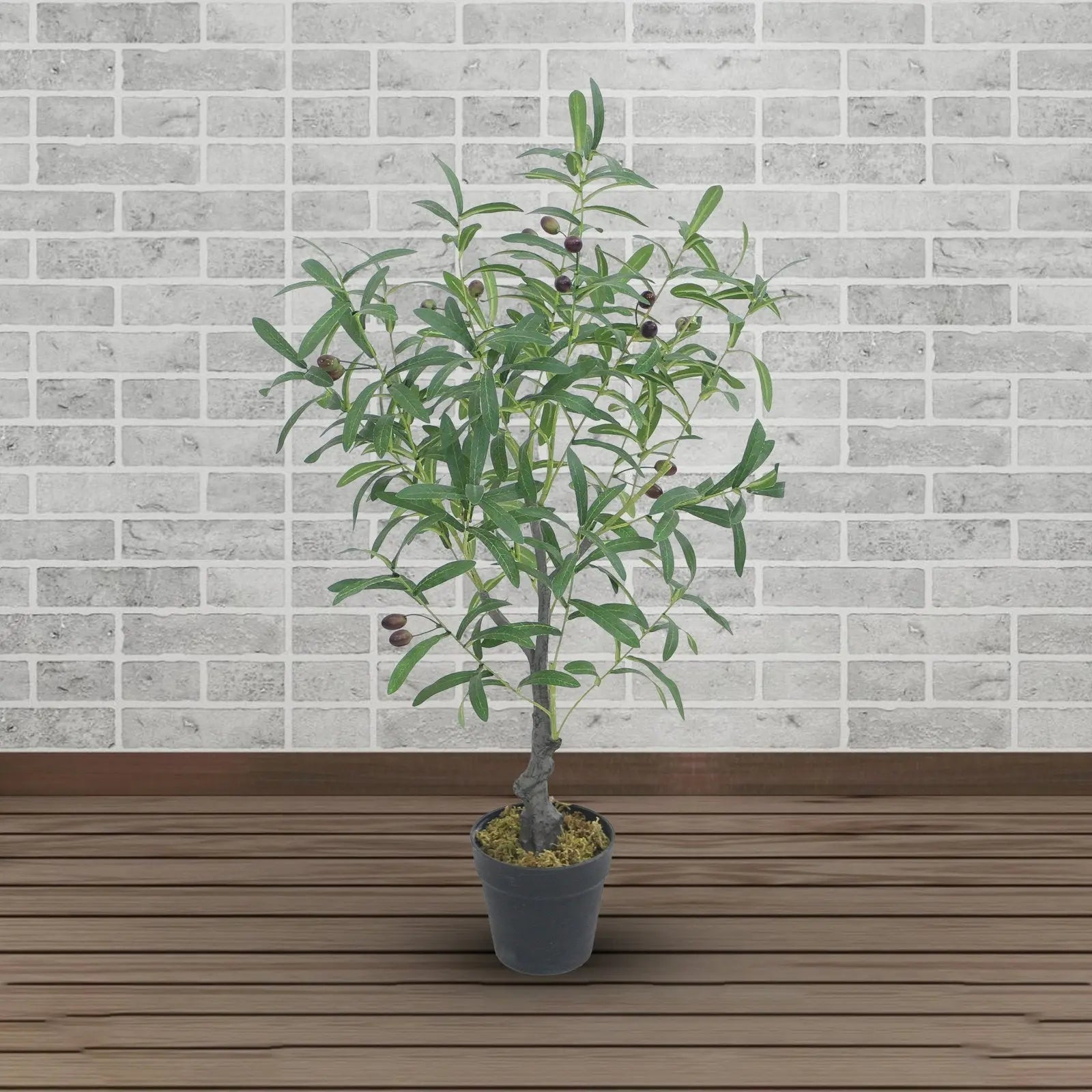 Olive Artificial Plants With Basic White Pot ||85cm Height My Store