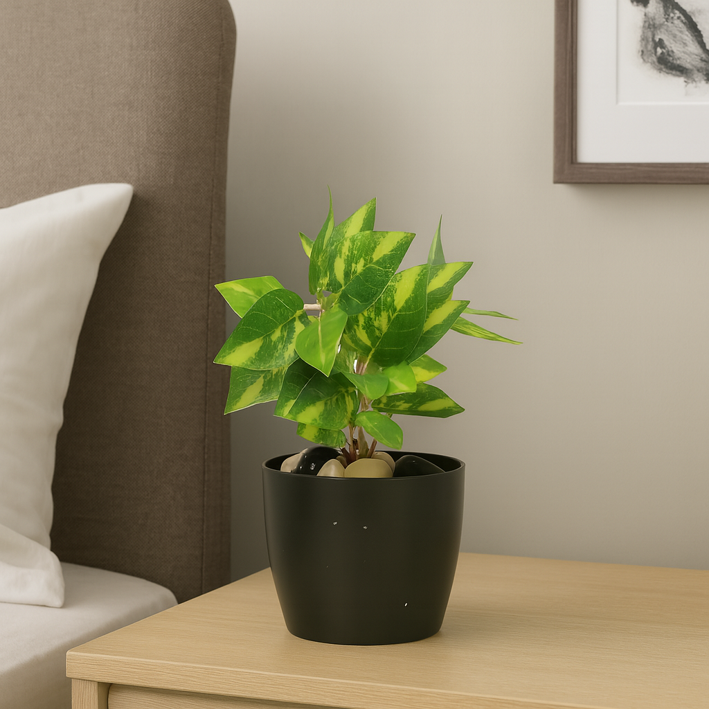 Aglaonema Real Touch Artificial Plant | Lifelike Indoor Greenery Enutrof Decor