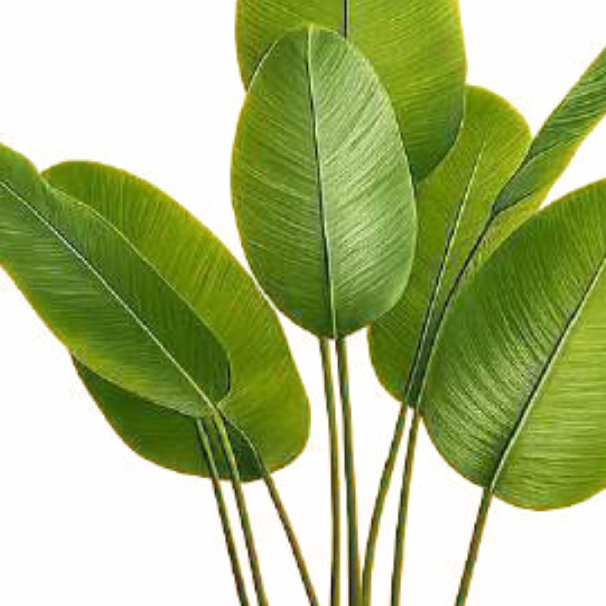 ENUTROF Artificial Bird of Paradise Plant – 120cm Fake Strelitzia for Living Room Decor ENUTROF