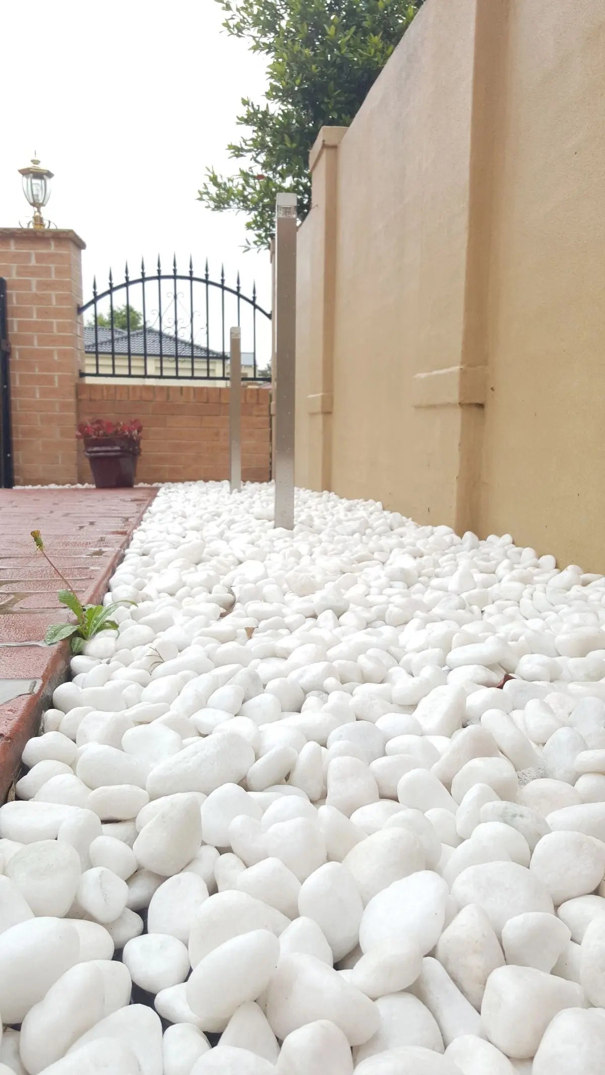 White Polished Pebbles | Premium Decorative Stones for Home & Garden Enutrof Decor