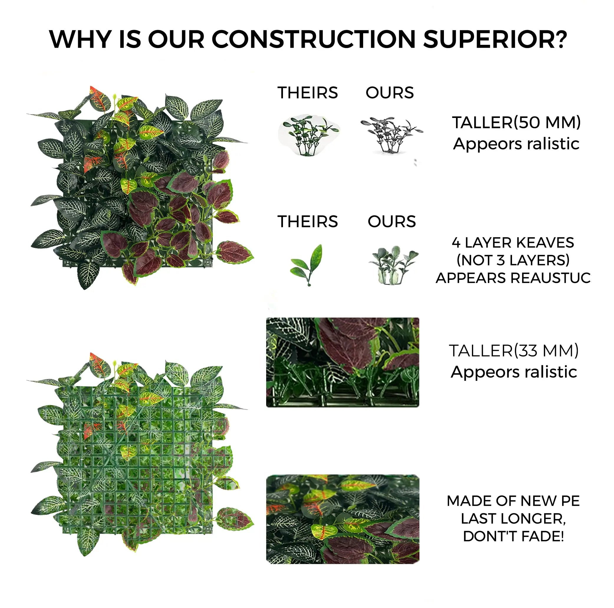 Codiaeum Variegatum Pictum Mix Vertical Garden | Pack of 3 Enutrof Decor