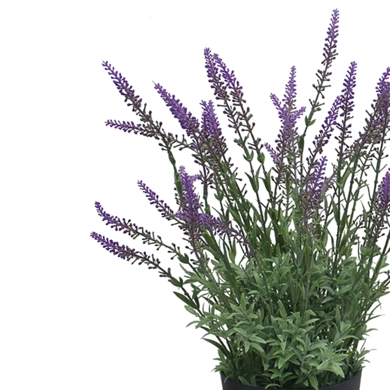 Lavender Artificial Plant Without Pot || 48cm Height Color: Green My Store