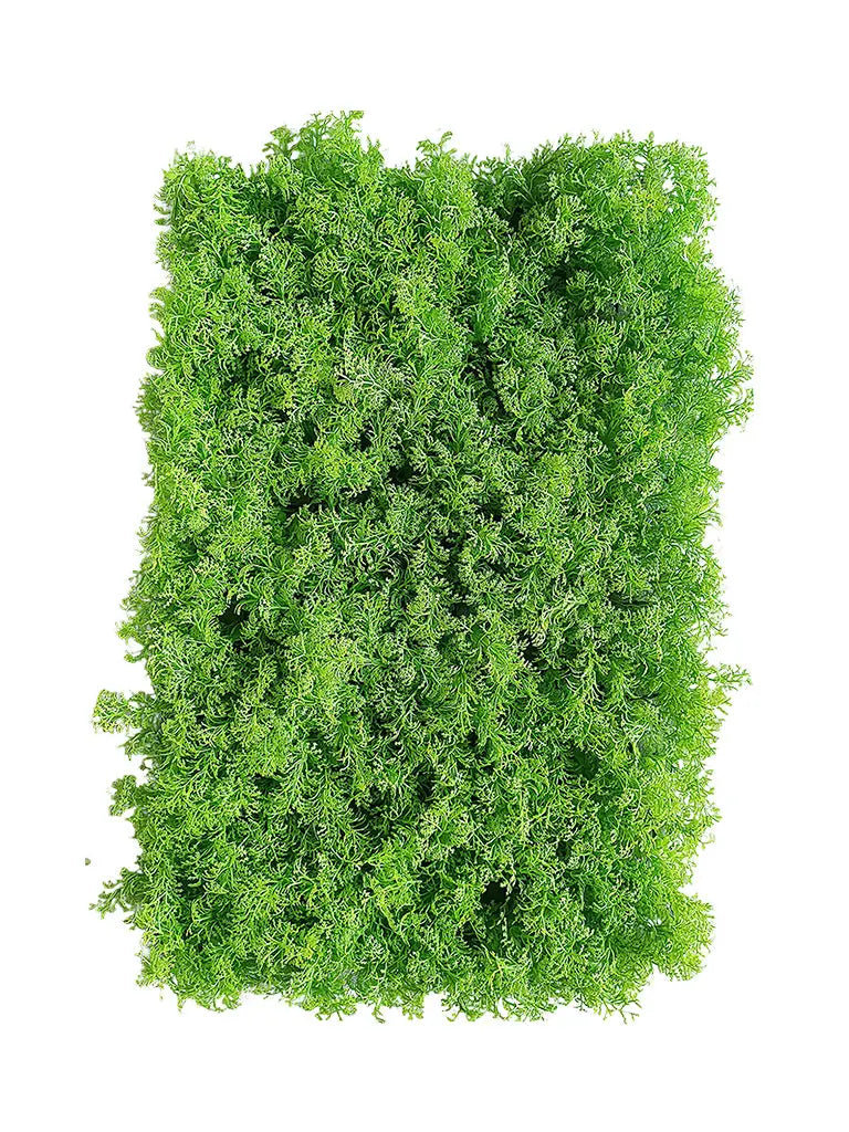Moss Vertical Garden Panel l 40 x 60 CM Enutrof Decor