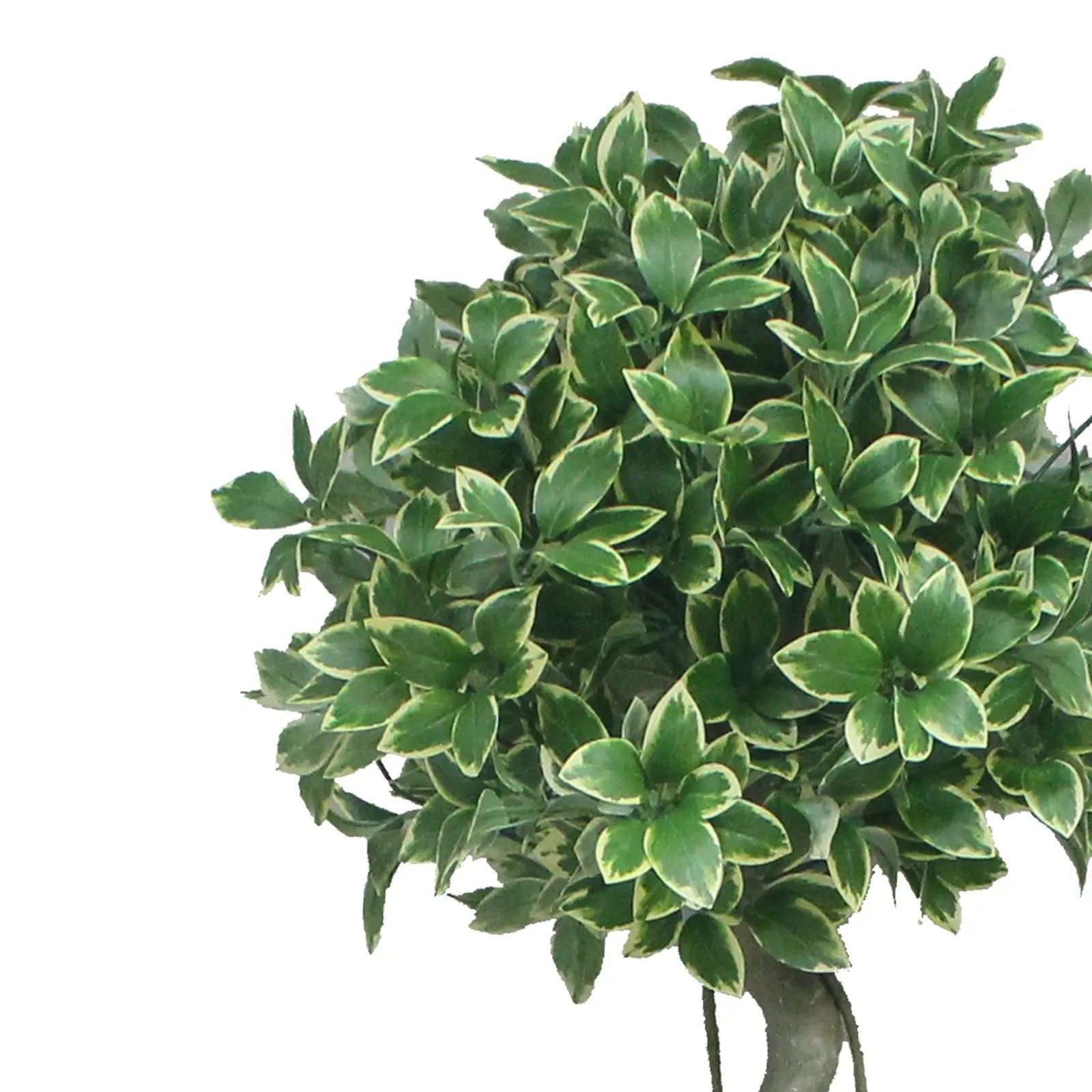 Lorbeer Artificial Tall Plant With Basic White Pot My Store