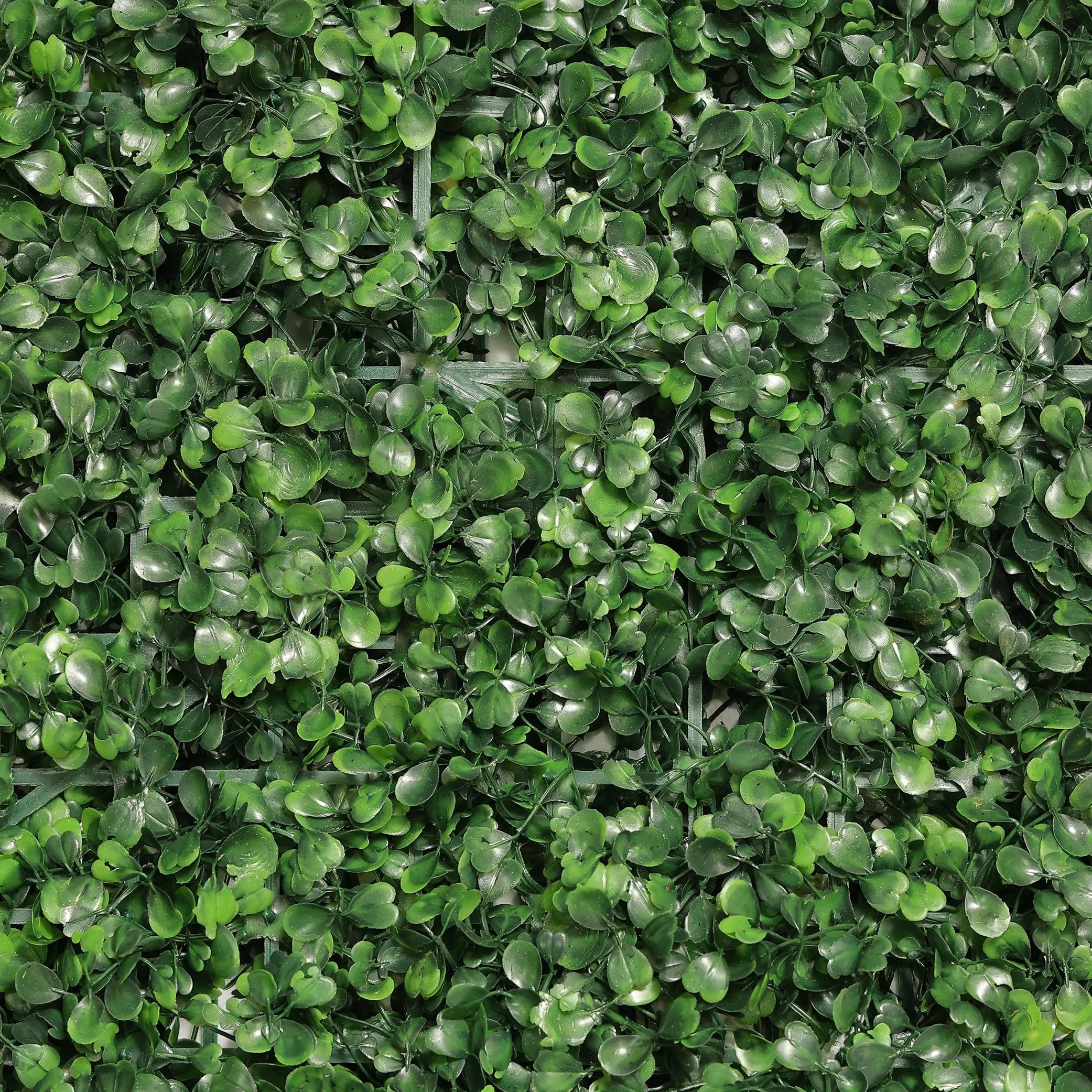 Glorius Emerald (40×60 cm) Enutrof Decor