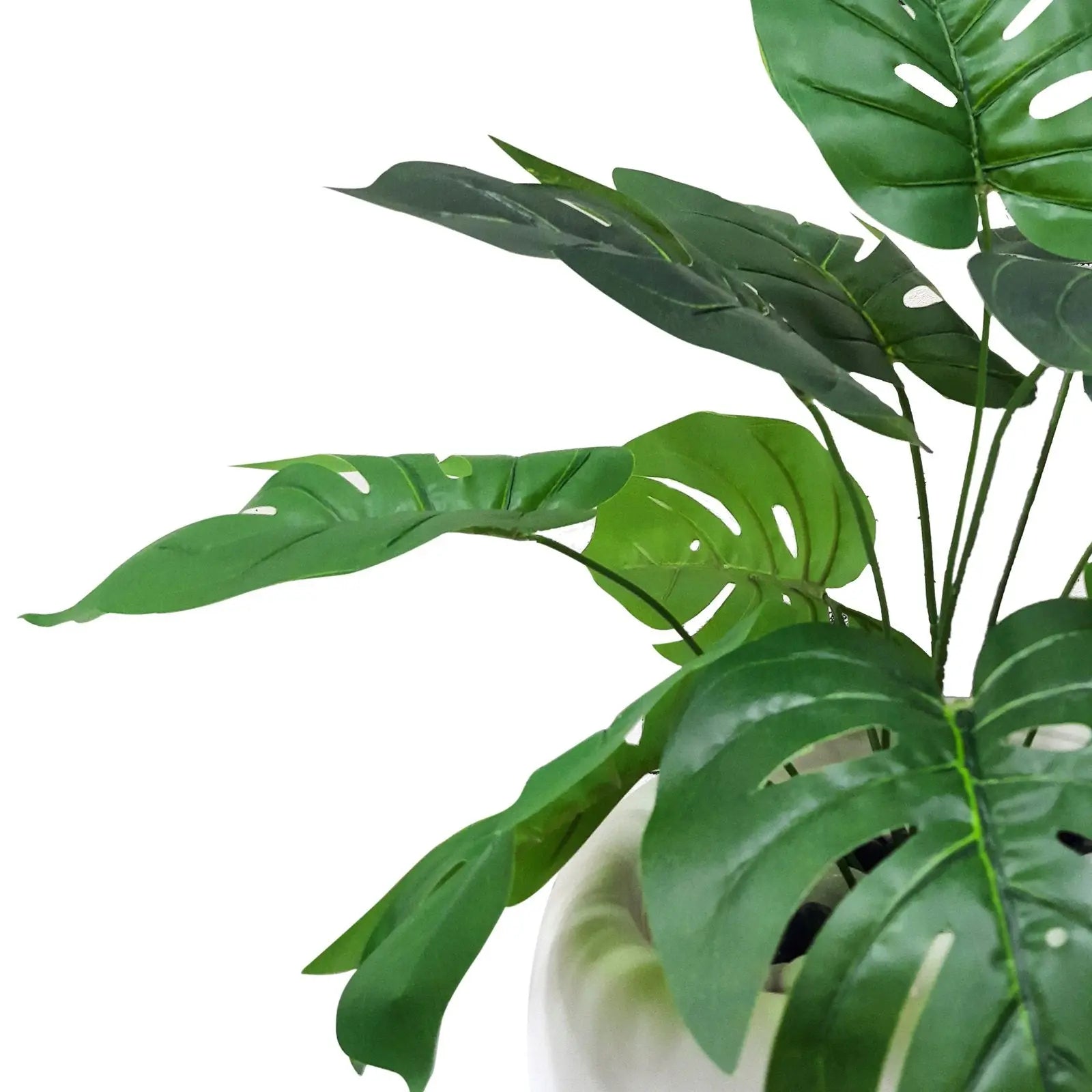 Swiss Cheese Plant Real Touch Artificial (56 cm) with Pot My Store