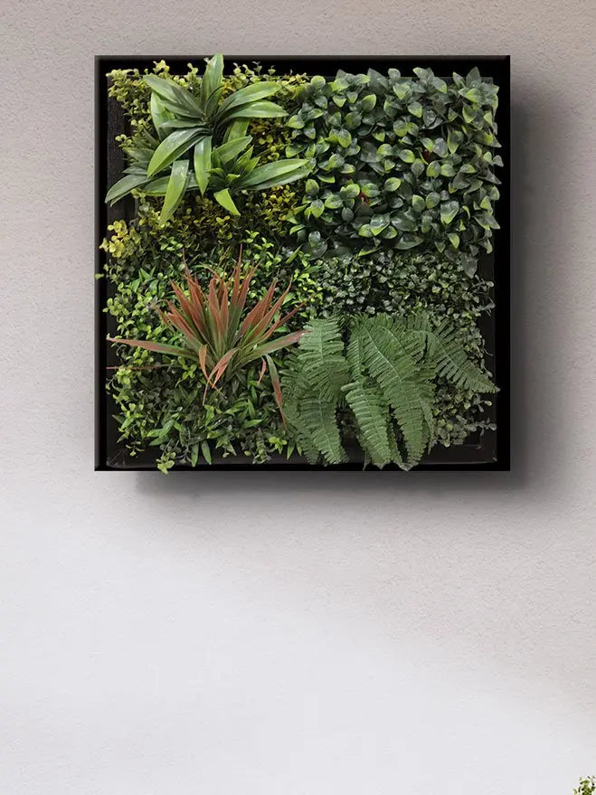Urban Vertical Forest Frame for Wall (57×57 cm) My Store
