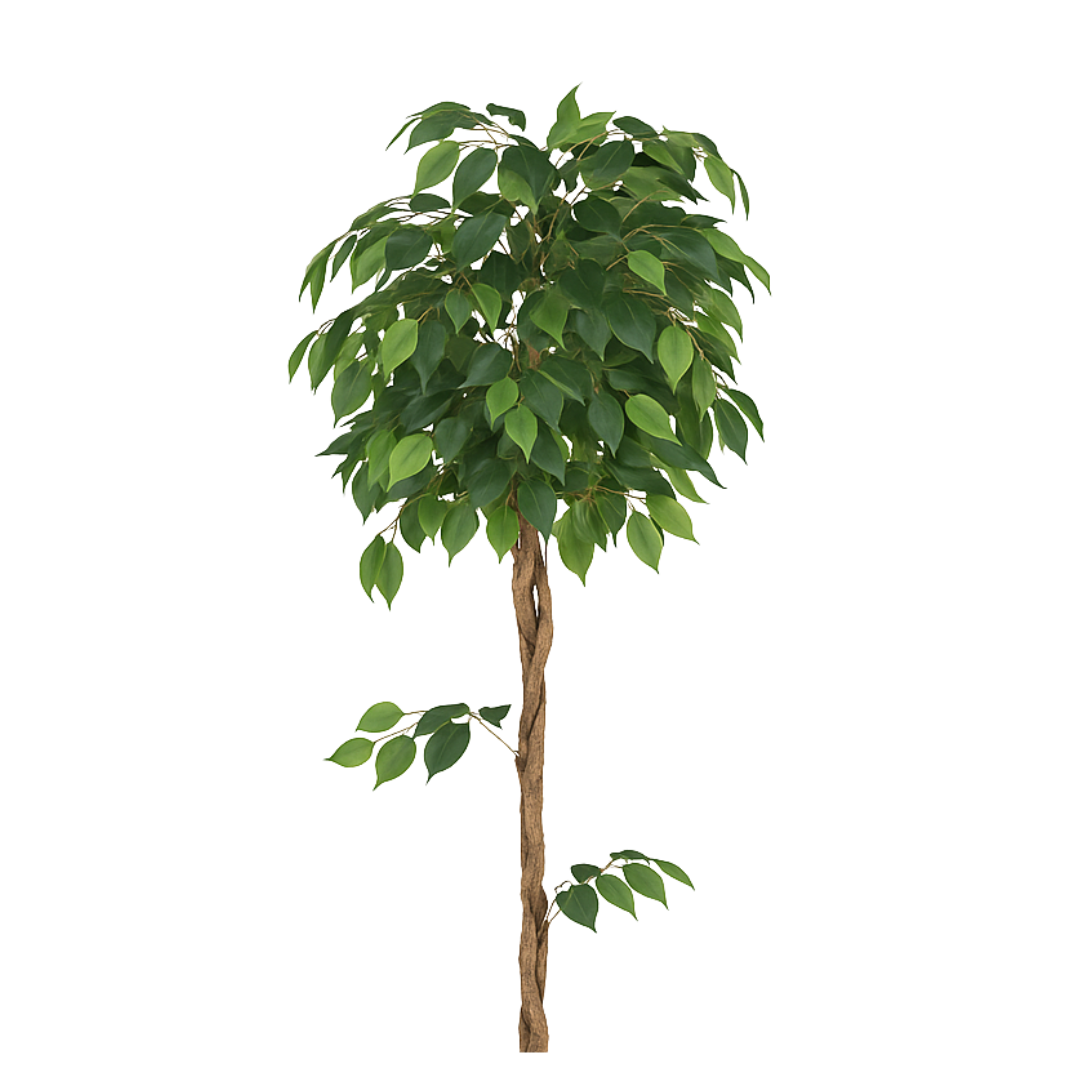5 ft Artificial Ficus Plant | Realistic Indoor Green Tree Décor Enutrof Decor