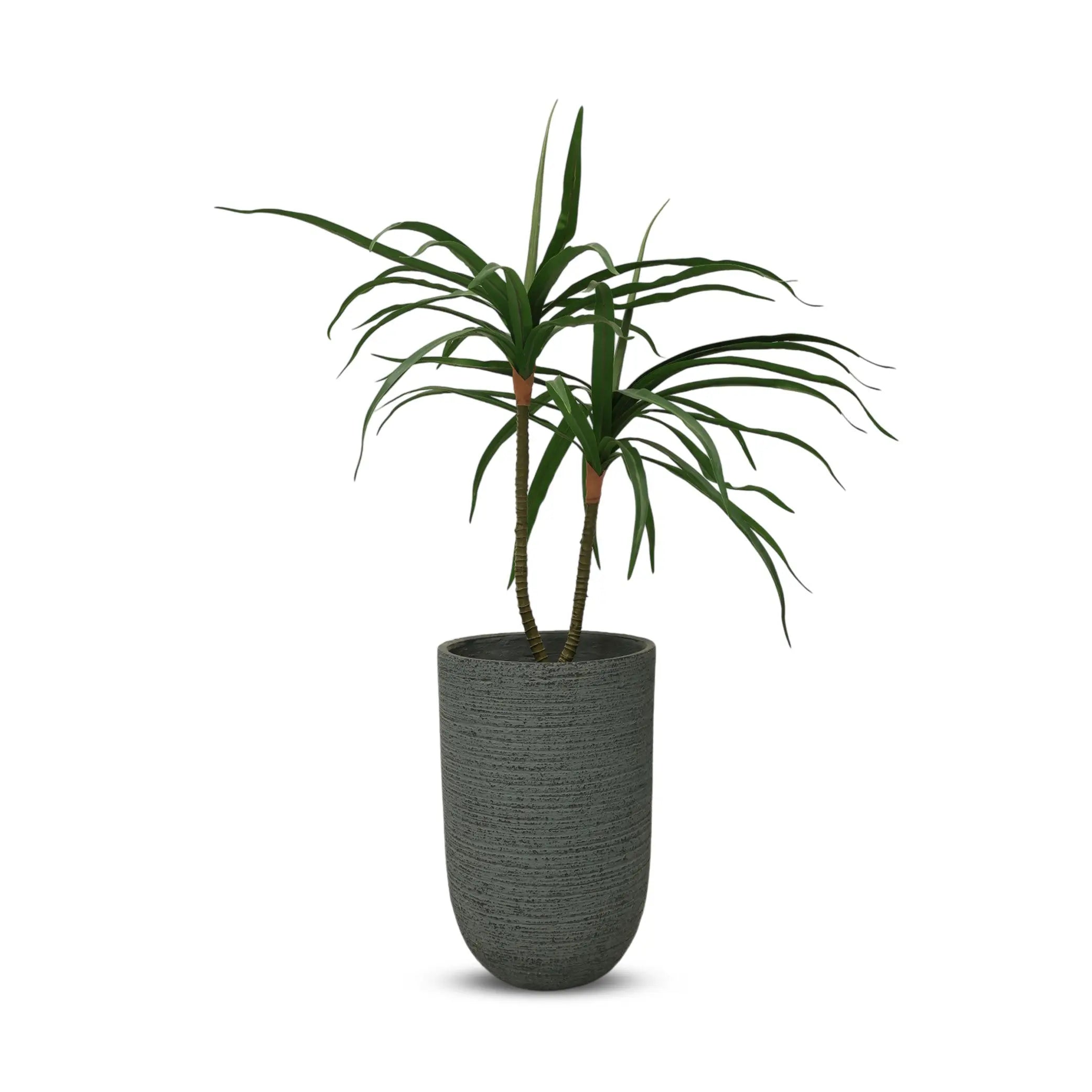 Black Fiber Planter Pot – Round Modern Design for Home & Office Enutrof Decor