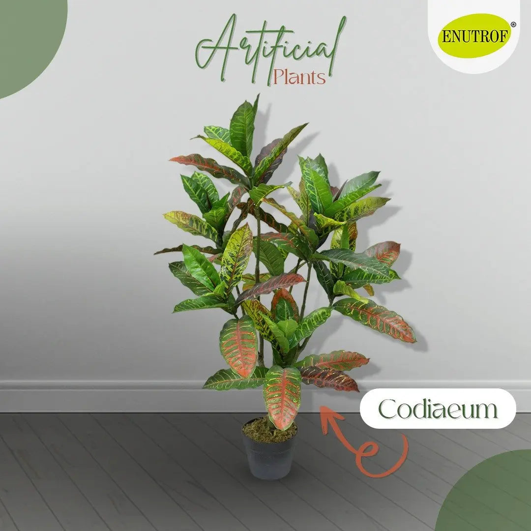 Codiaeum Artificial Plants With Basic White Pot ||100cm Height My Store