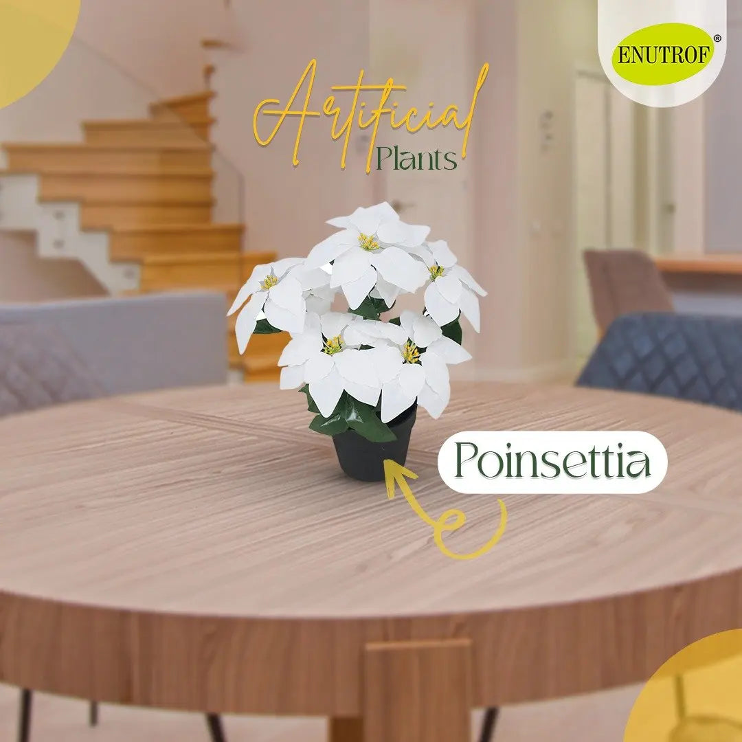 White Poinsettia Artificial Plant (45 cm) with Elegant Decorative Pot My Store