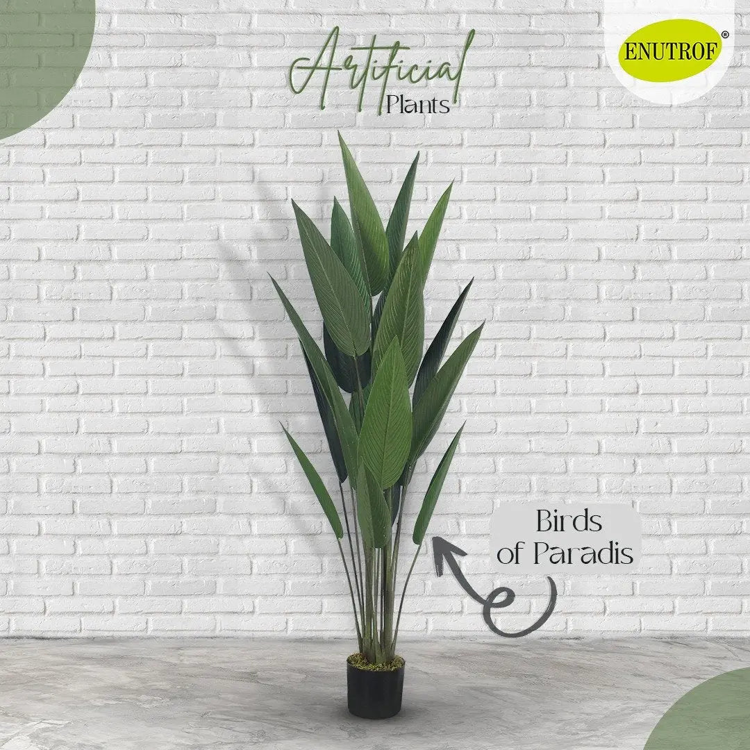 Birds of Paradise Artificial Plant With Basic White Pot || 140cm Height My Store