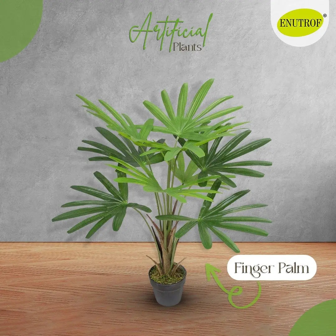 Finger Palm Artificial Plants With Basic White Pot ||80cm Height My Store