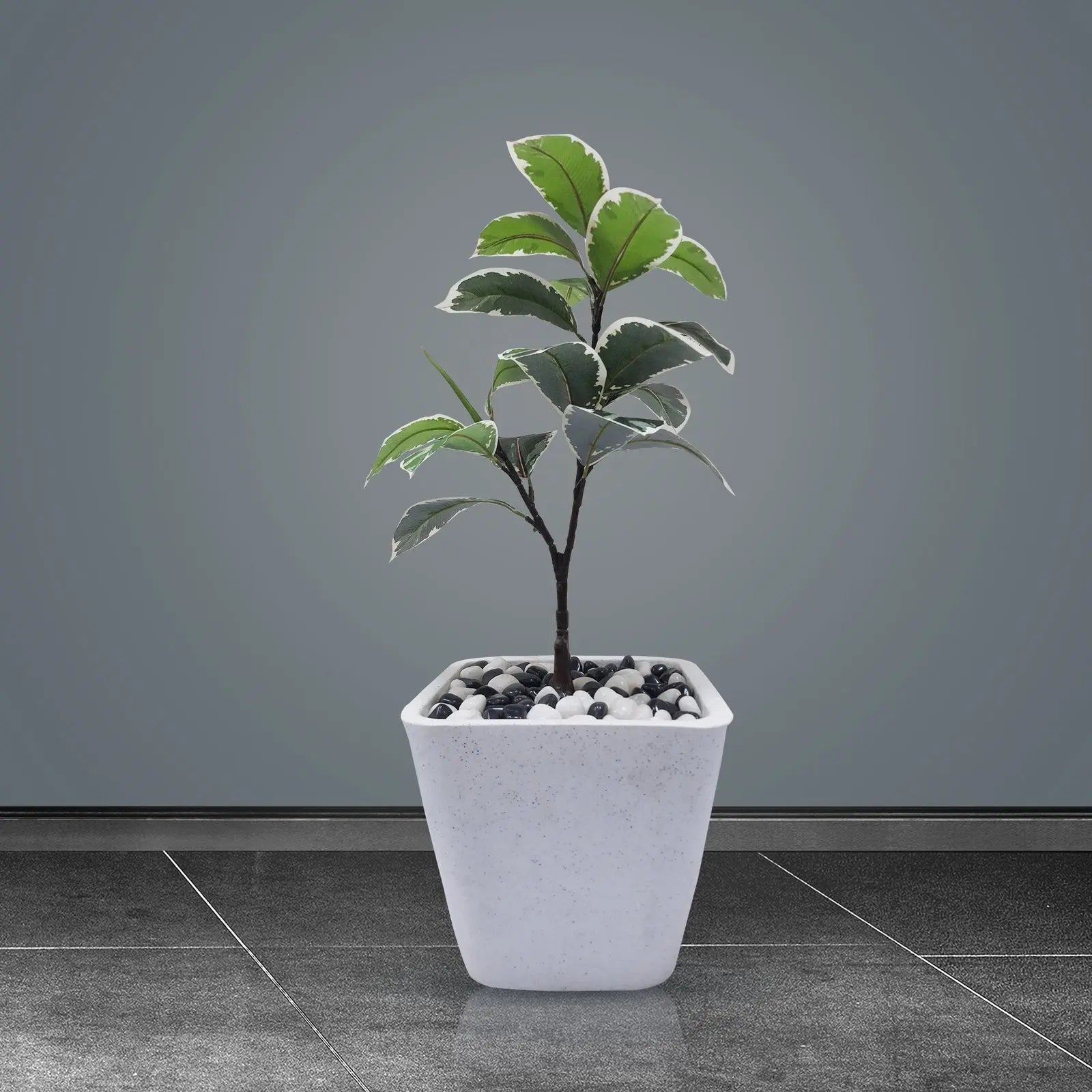 Indoor Rubber Plant Tree Artificial With Basic White Pot || Size:77 Cm Height My Store