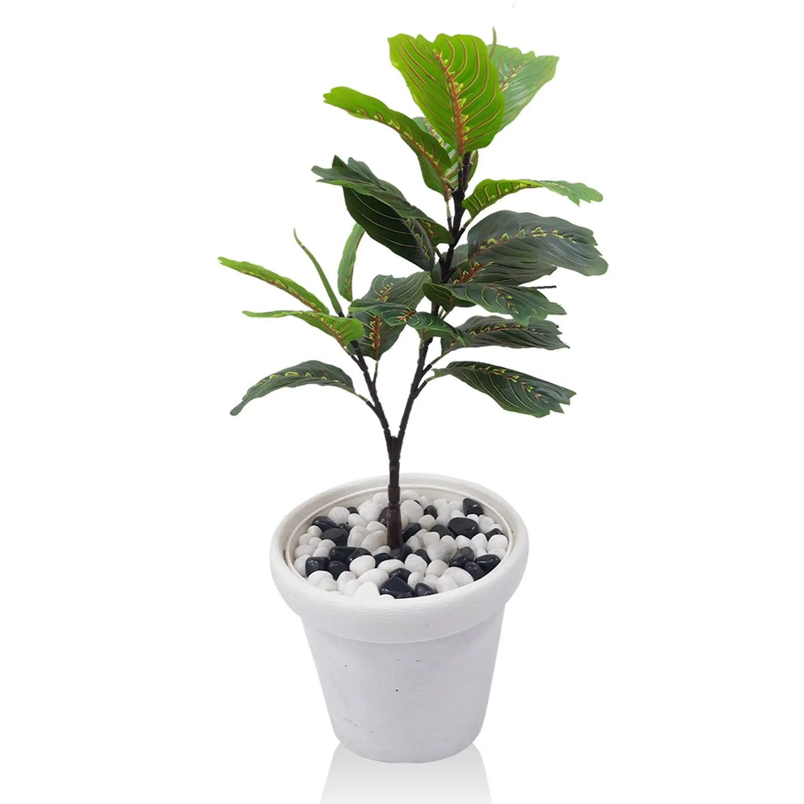 Garden Croton Artificial Plant With Basic White Pot || Size: 78 Cm My Store