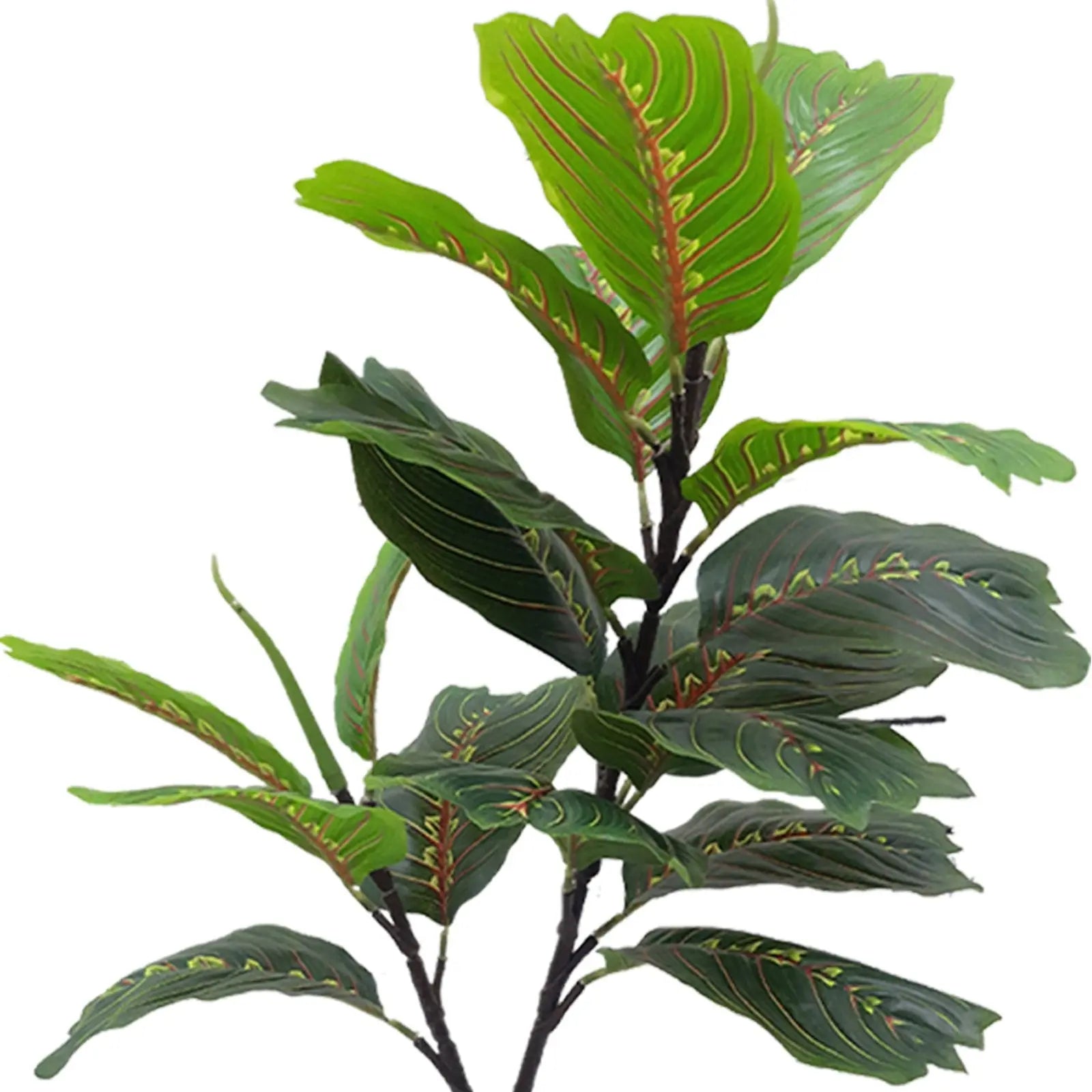 Garden Croton Artificial Plant With Basic White Pot || Size: 78 Cm My Store