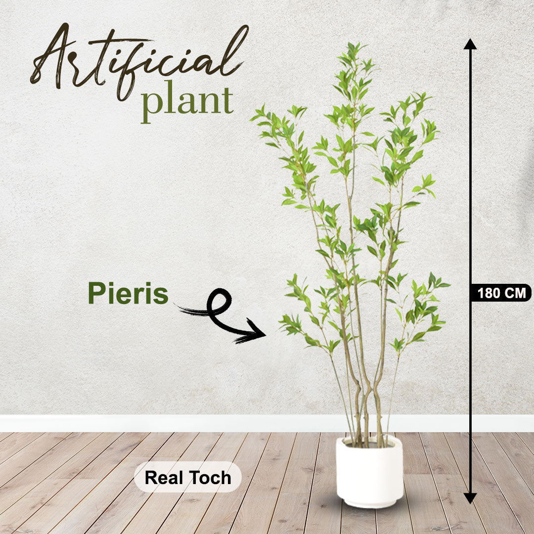 Pieris Artificial Plant – 180 CM | Indoor Decorative Green Plant Enutrof Decor