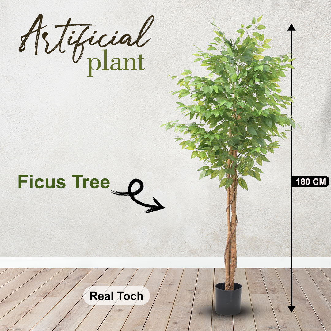 Artificial Ficus Tree – 180 CM | Indoor Green Decorative Tree Enutrof Decor