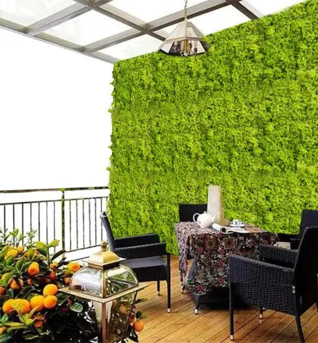 Moss Artificial Wall Grass || Vertical Garden For Wall || Size: 40X60 Cm || 46/1|| My Store