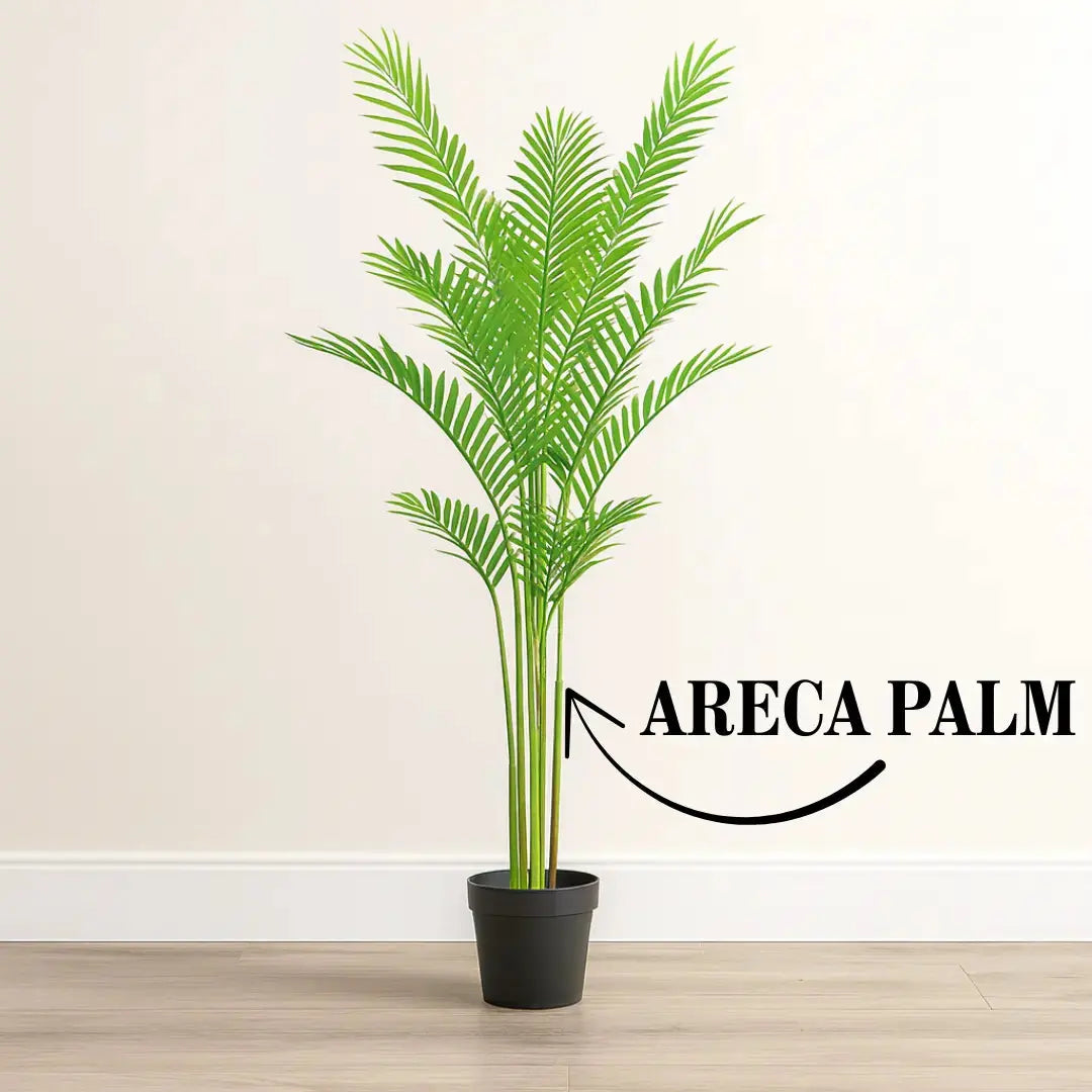 6 ft Artificial Areca Palm Plant | Realistic Tall Tropical Indoor Décor Enutrof Decor