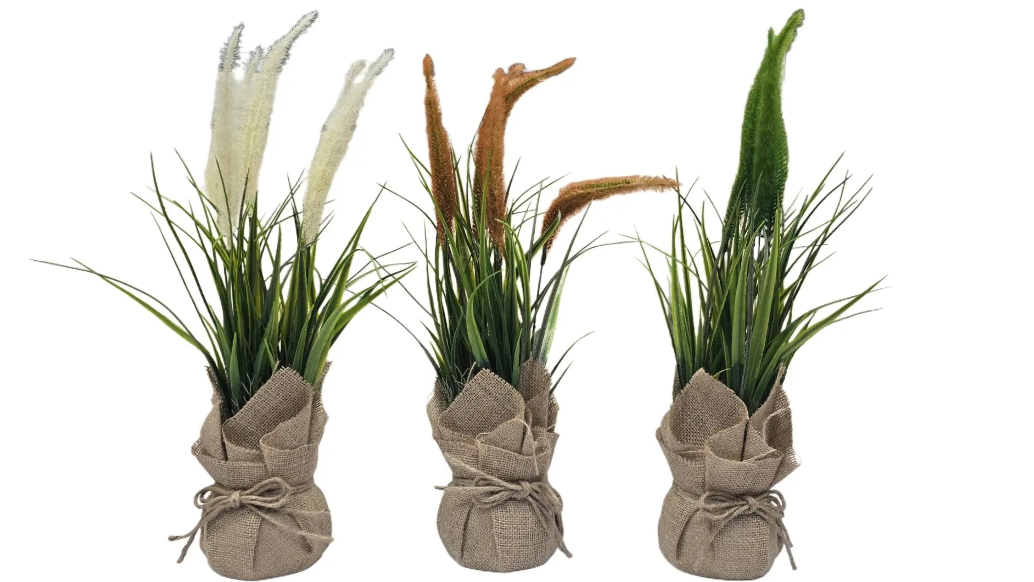 Plastic Bonsai with Sack | Onion Grass Artificial Table Décor (48 CM) Enutrof Decor