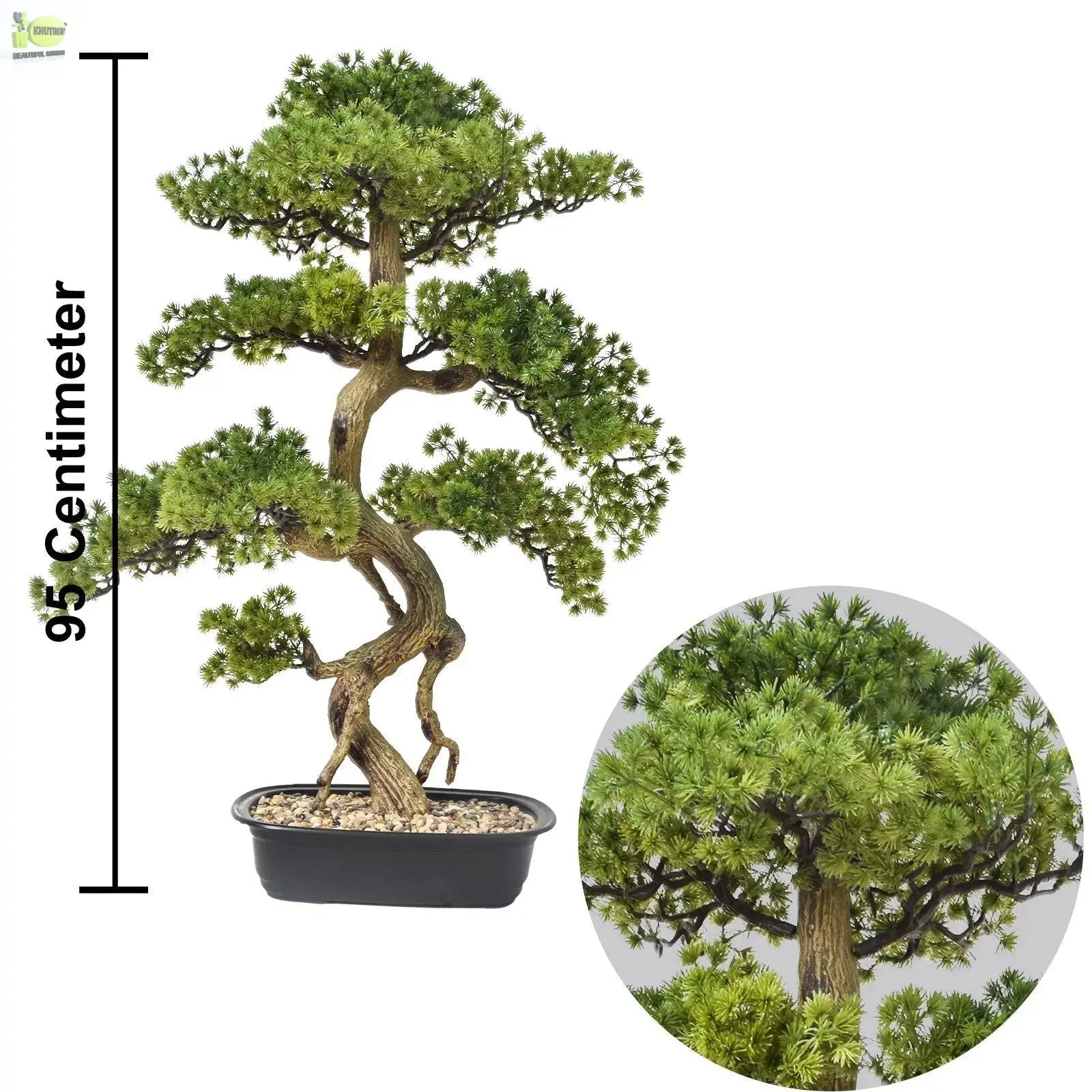 Cypress Bonsai Tree (90 cm) My Store