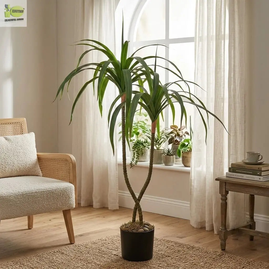 Artificial Dracaena Fragrans Plant | Natural-Looking Indoor Décor Enutrof Decor