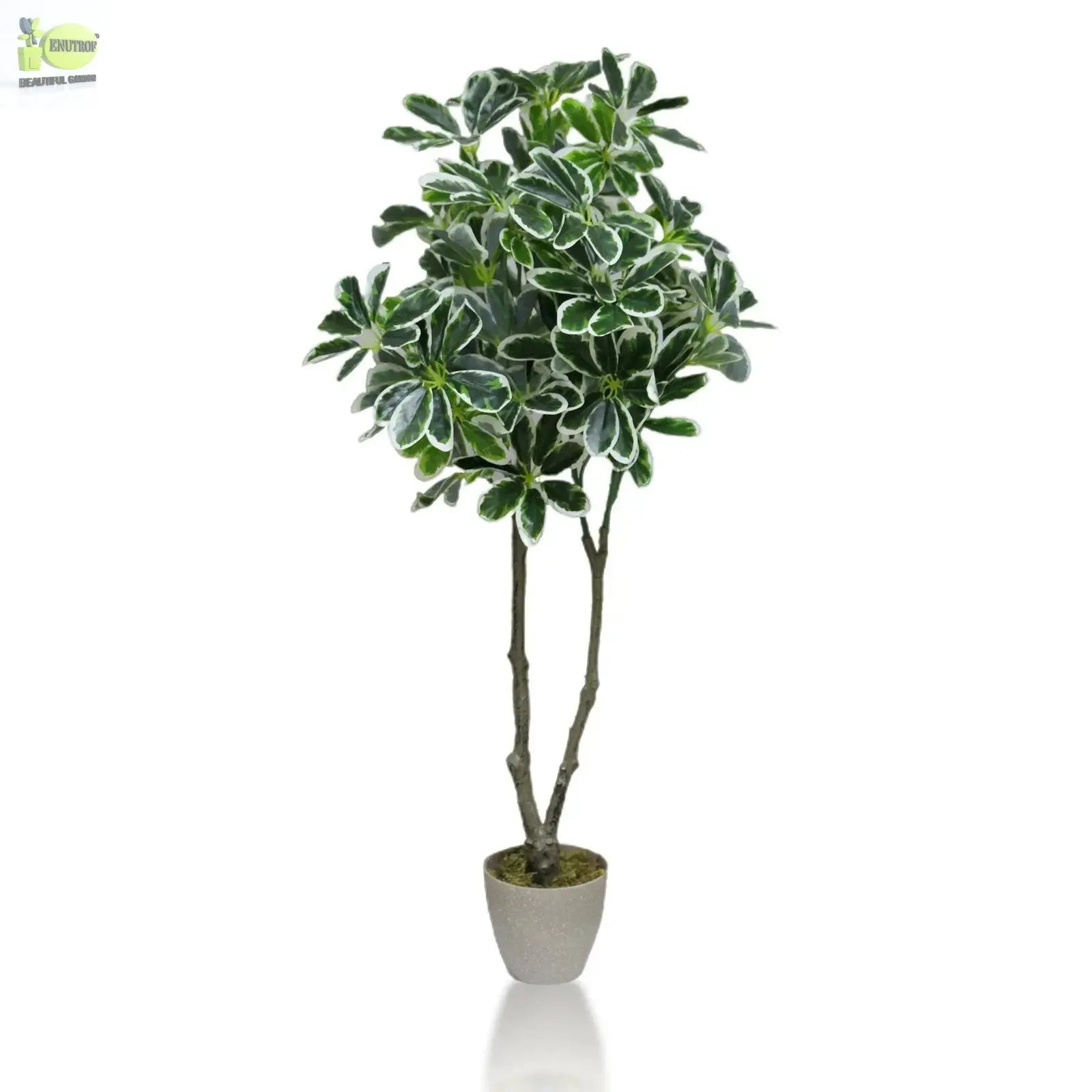 Artificial Umbrella Plant with White Pot (100 cm Height) My Store