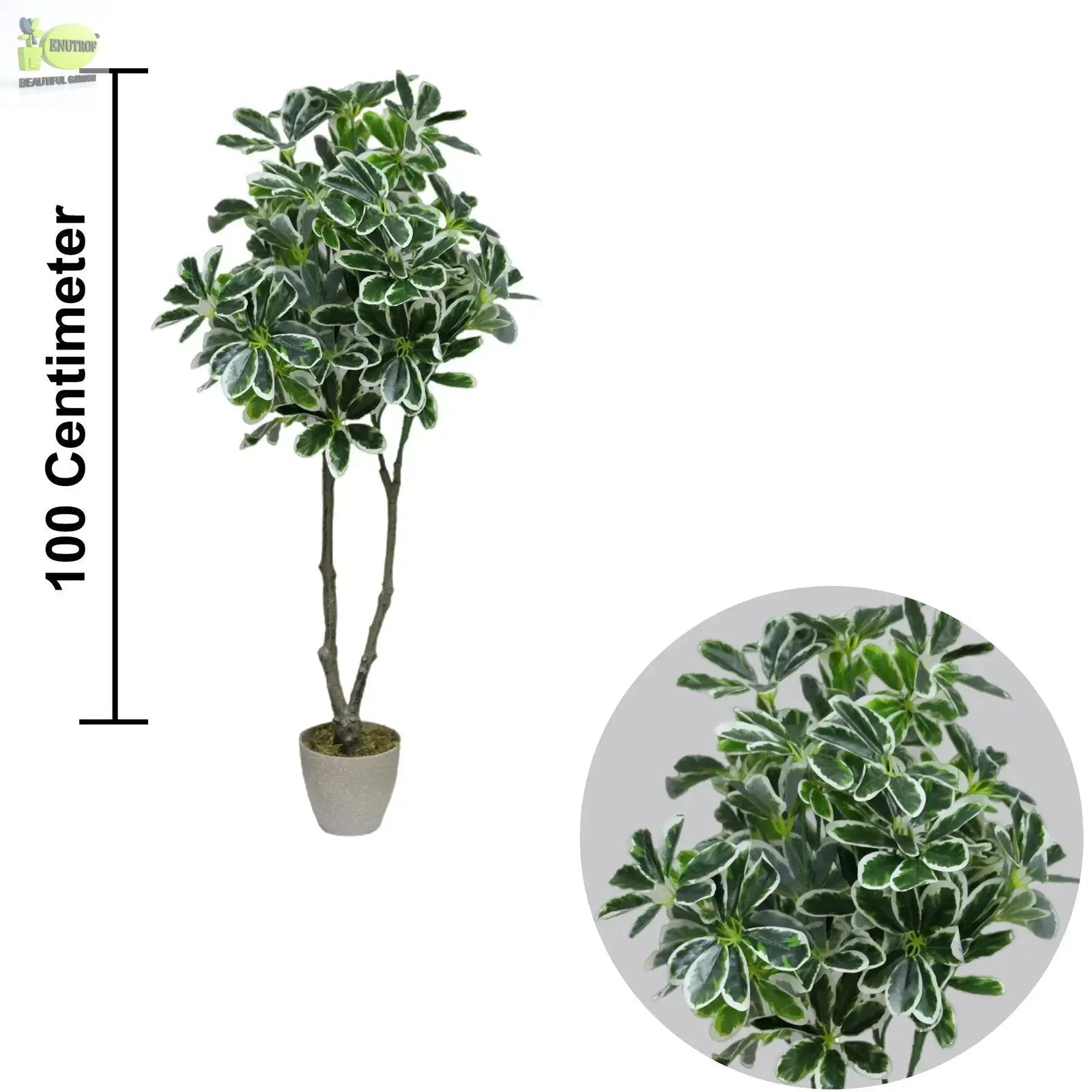 Artificial Umbrella Plant with White Pot (100 cm Height) My Store