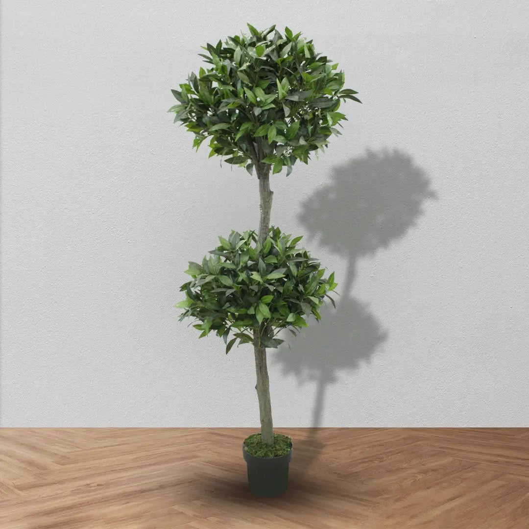 Topiary Bay Tree with Black Pot My Store