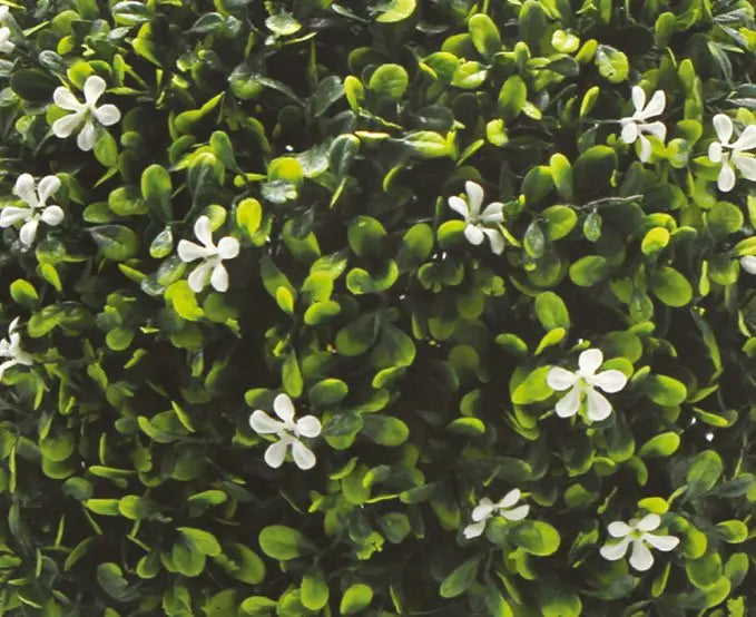 Melaine with White Flowers My Store