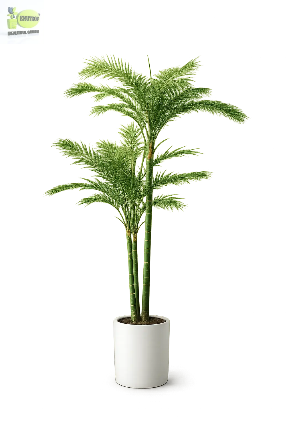 ENUTROF Artificial Areca Palm Plant – 140cm Fake Tropical Indoor Palm for Home & Hotel Decor ENUTROF