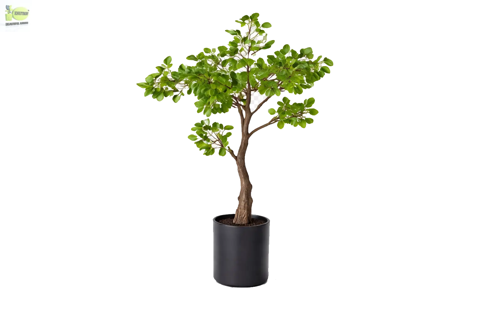 ENUTROF Artificial Ficus Ginseng Bonsai Tree – 60cm Classic Fake Bonsai for Office & Home Decor ENUTROF