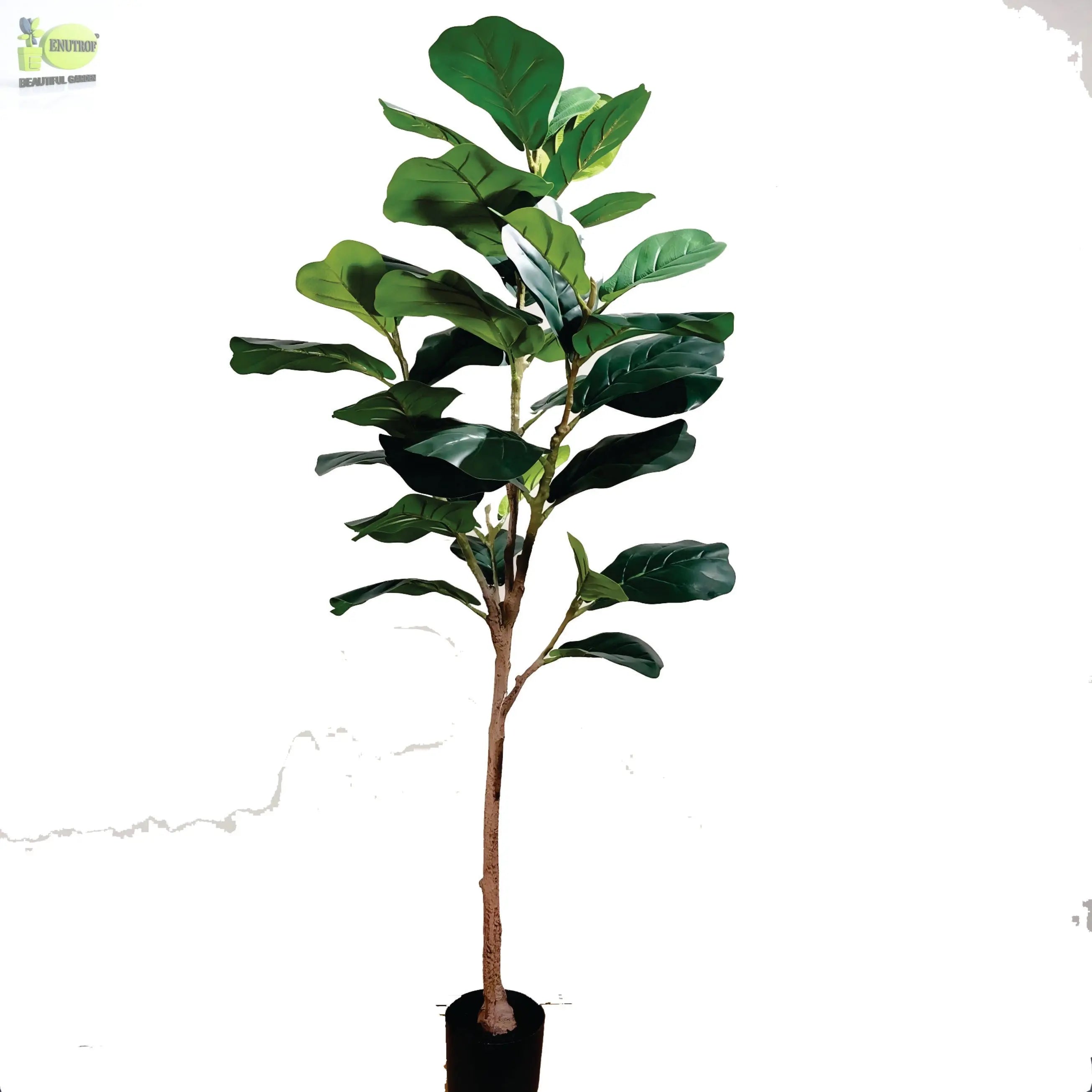 ENUTROF Artificial Fiddle Leaf Fig Ficus Lyrata – 155cm Premium Fake Plant for Designer Home Decor ENUTROF