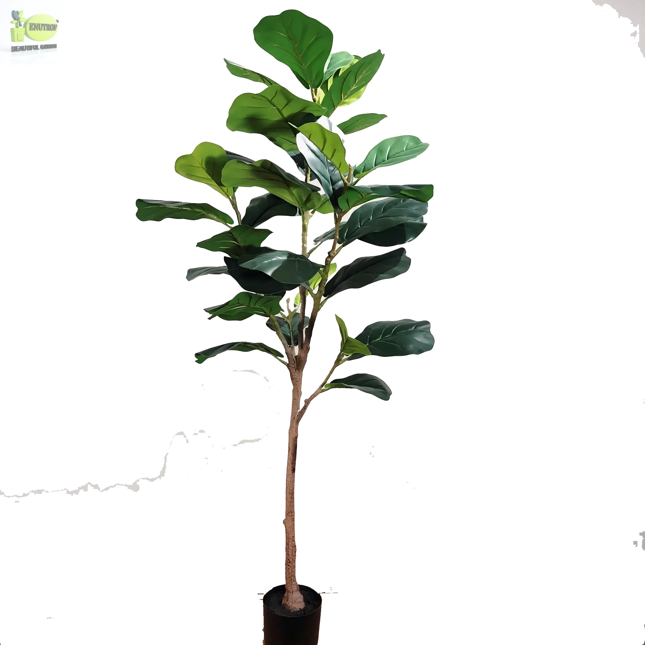 ENUTROF Artificial Fiddle Leaf Fig Ficus Lyrata – 155cm Premium Fake Plant for Designer Home Decor ENUTROF