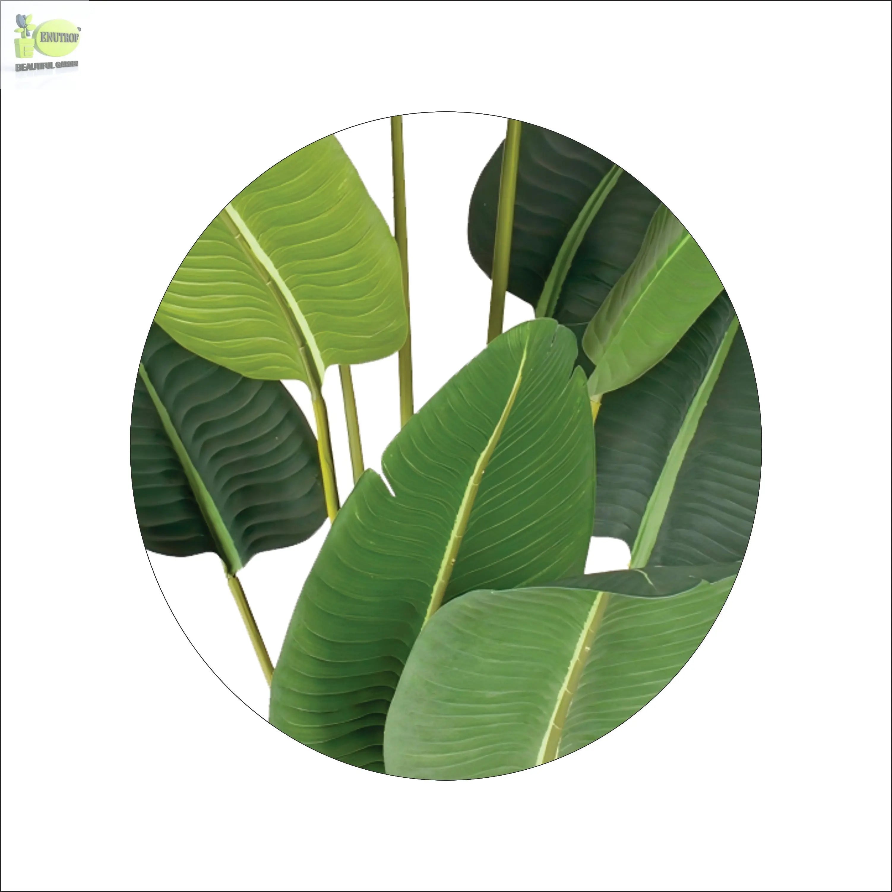 ENUTROF Artificial Giant Bird of Paradise – 220cm Majestic Fake Plant for Hotel & Luxury Decor ENUTROF