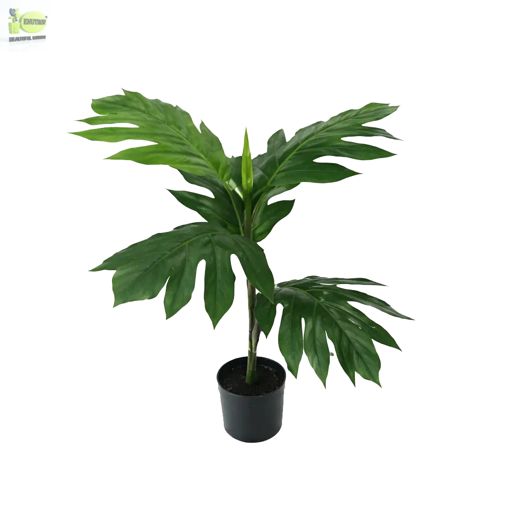 ENUTROF Artificial Monstera Split-Leaf Philodendron – 60cm Compact Fake Plant for Desk & Shelf ENUTROF