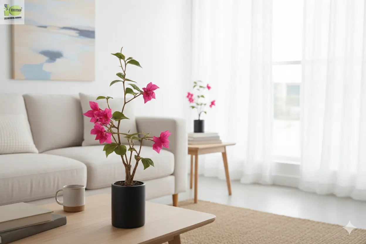 ENUTROF Artificial Pink Bougainvillea Plant – 90cm Compact Fake Flowering Plant for Home Decor ENUTROF