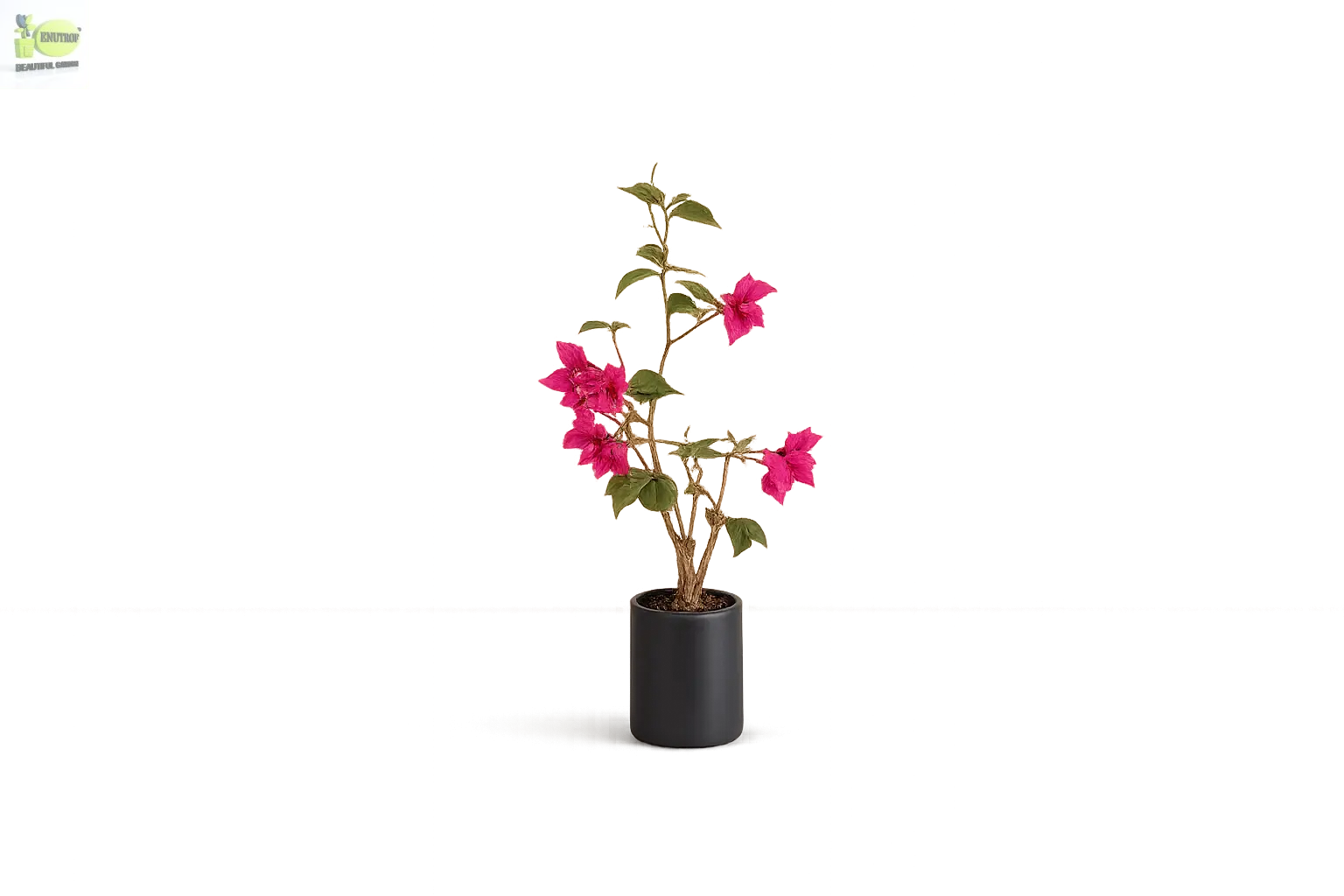 ENUTROF Artificial Pink Bougainvillea Plant – 90cm Compact Fake Flowering Plant for Home Decor ENUTROF