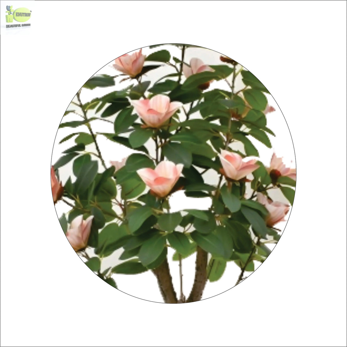 ENUTROF Artificial Pink Magnolia Flowering Tree – 140cm Fake Blooming Plant for Home Decor ENUTROF