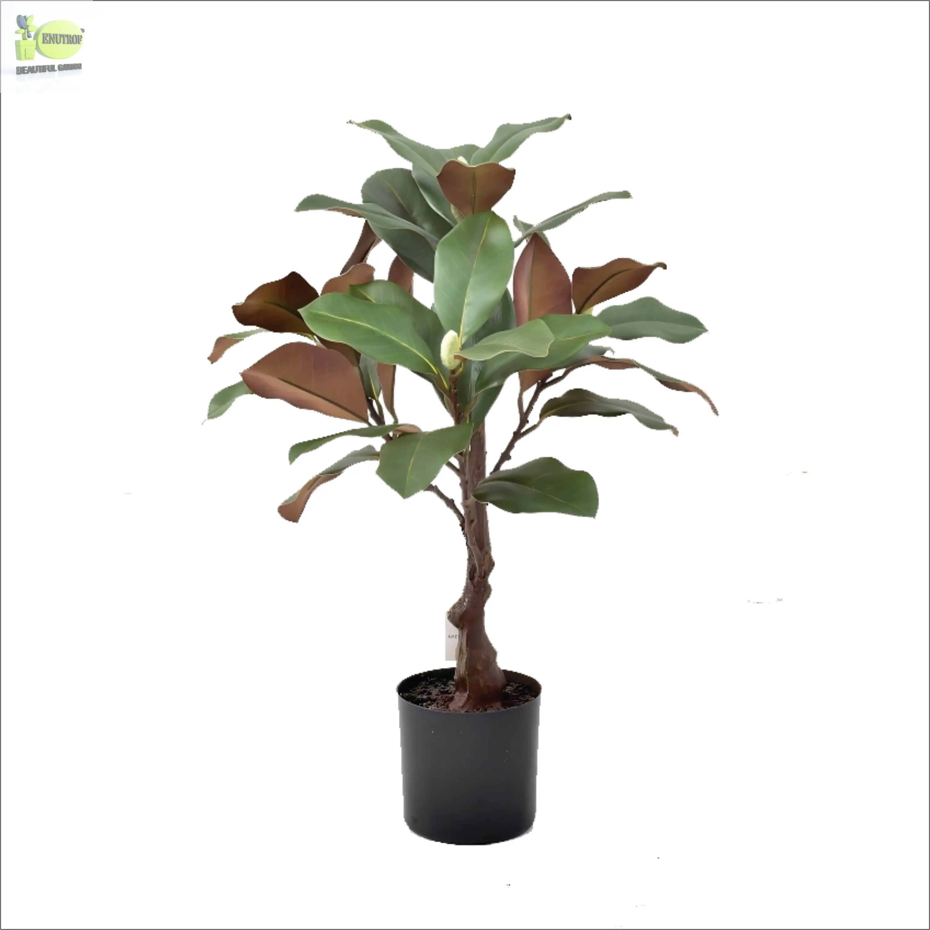 ENUTROF Artificial Rubber Plant Ficus Elastica – 60cm Compact Fake Plant for Desk & Home Decor ENUTROF