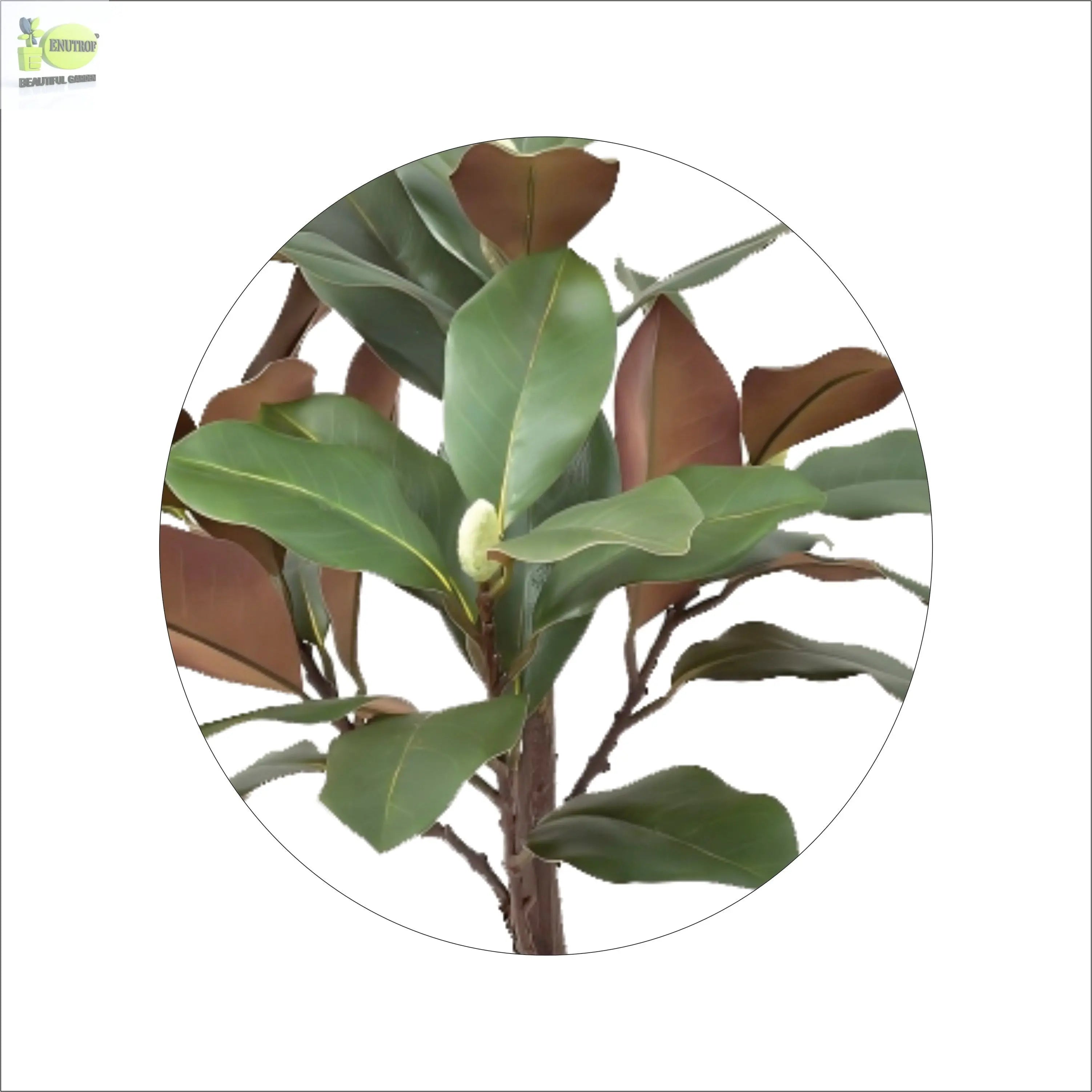 ENUTROF Artificial Rubber Plant Ficus Elastica – 60cm Compact Fake Plant for Desk & Home Decor ENUTROF