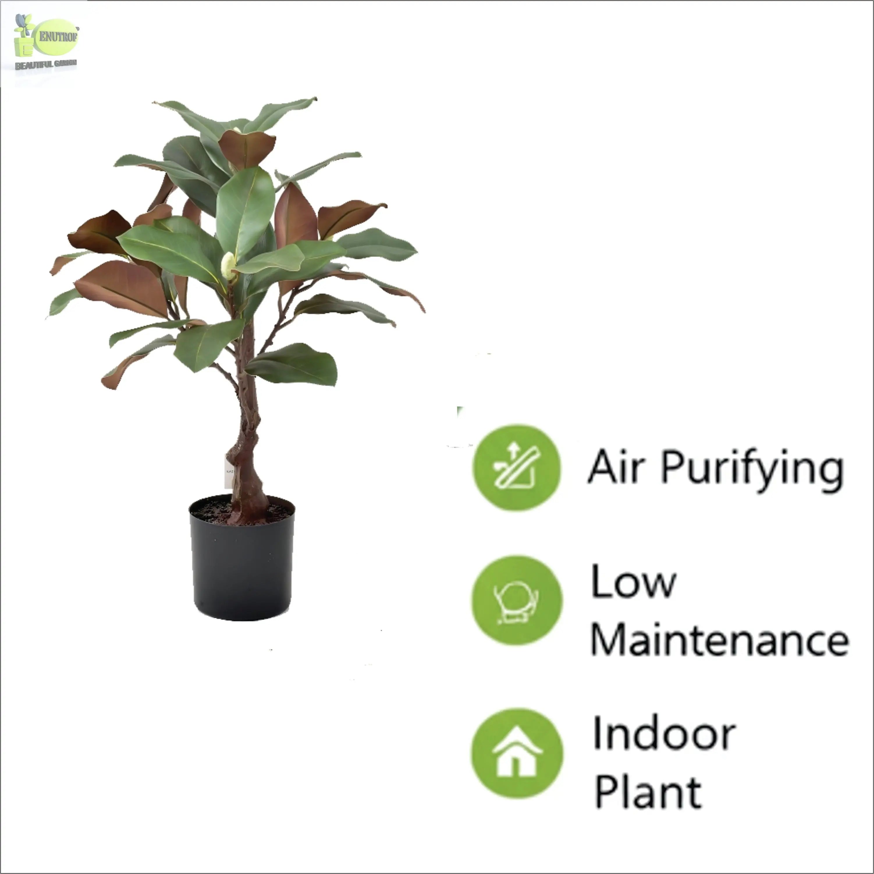 ENUTROF Artificial Rubber Plant Ficus Elastica – 60cm Compact Fake Plant for Desk & Home Decor ENUTROF