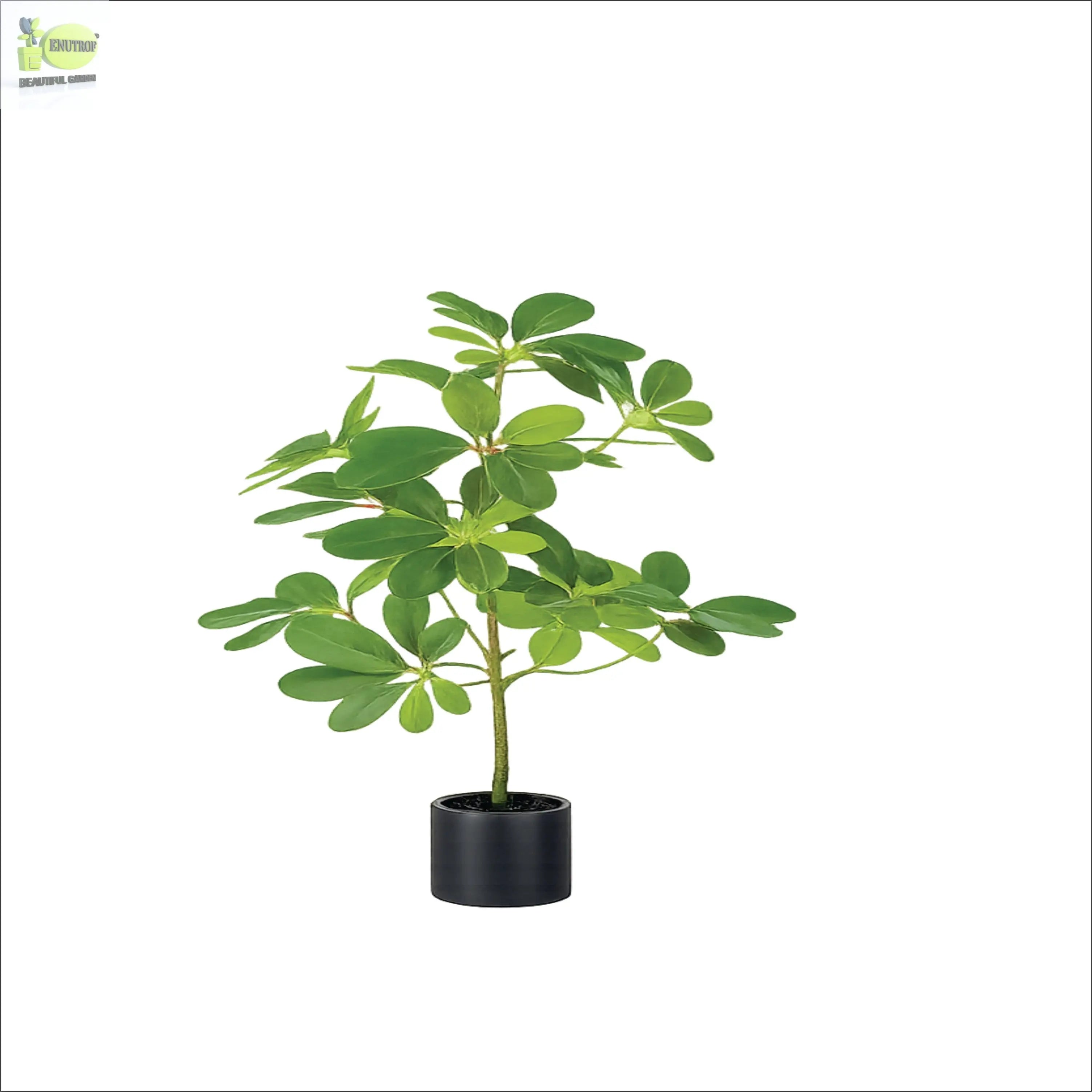 ENUTROF Artificial Schefflera Umbrella Plant – 50cm Small Fake Plant for Desk & Shelf Decor ENUTROF