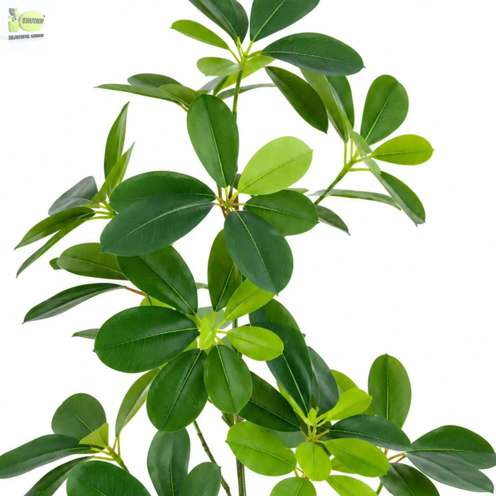 ENUTROF Artificial Small Plant 50cm – Realistic Fake Potted Plant for Desk Home Decor ENUTROF