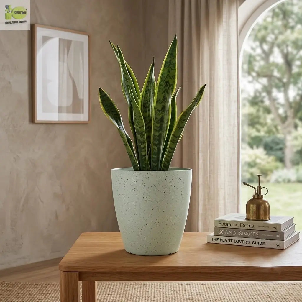 Egg Pot Planter – Modern Decorative Plant Pot Enutrof Decor