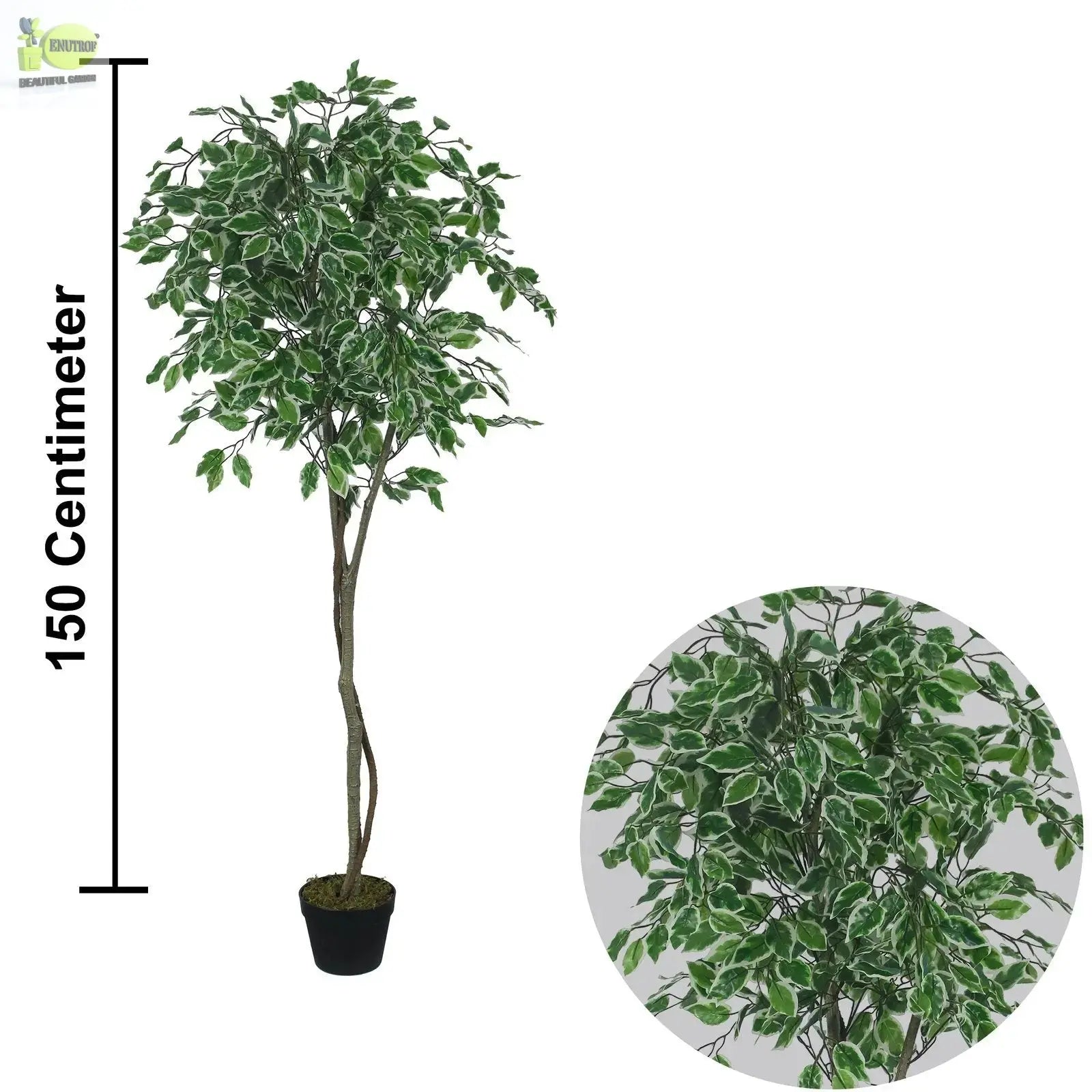 Elegant ficus tree Artificial Plants With Basic White Pot My Store