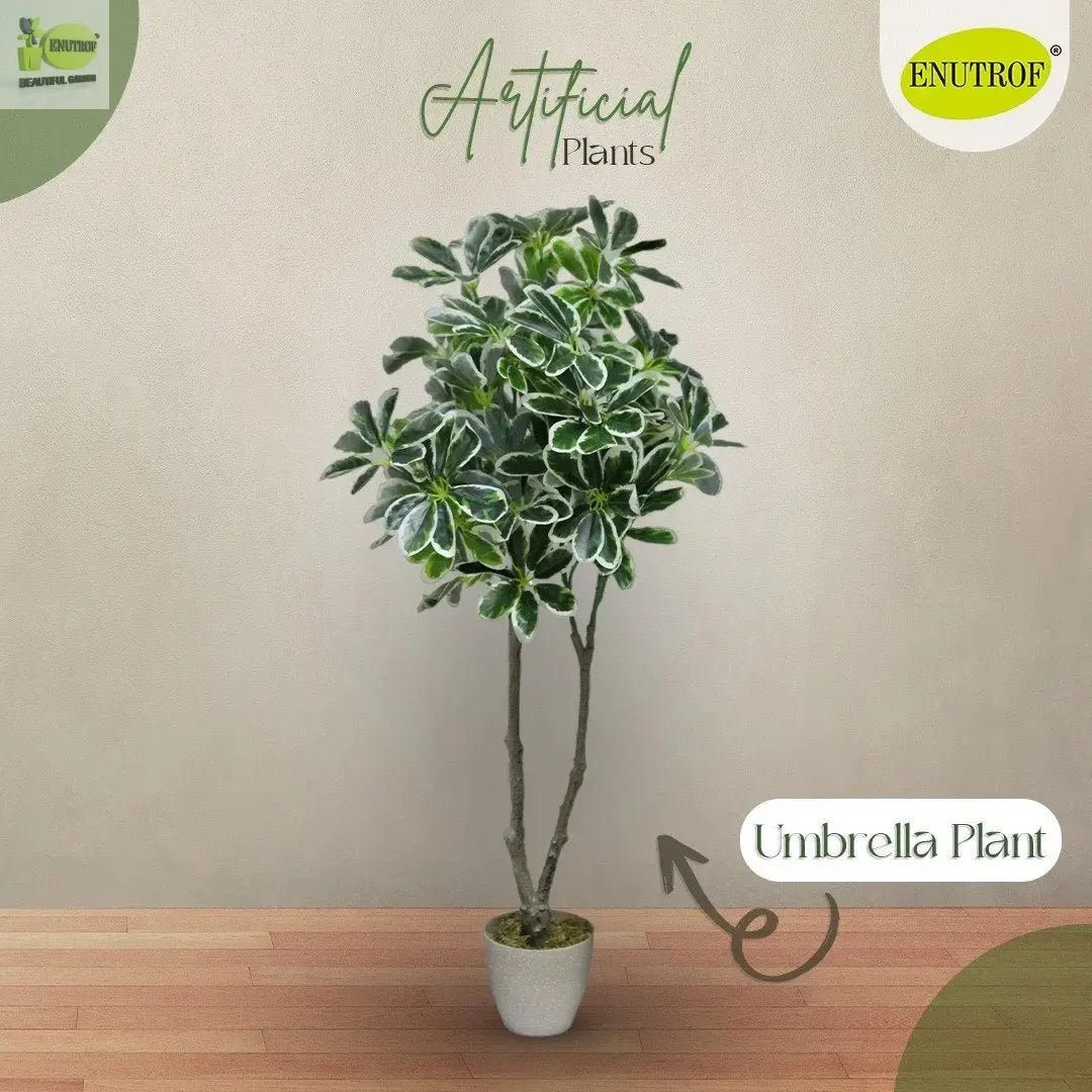 Elegant ficus tree Artificial Plants With Basic White Pot My Store